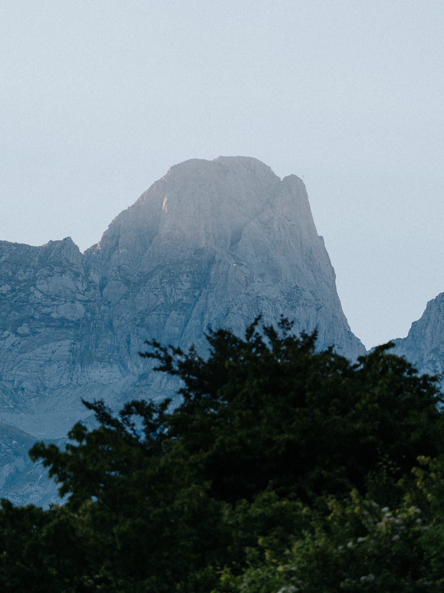A mountain peak with rugged, rocky cliffs, partially obscured by dark green trees in the foreground, under a clear light blue sky.