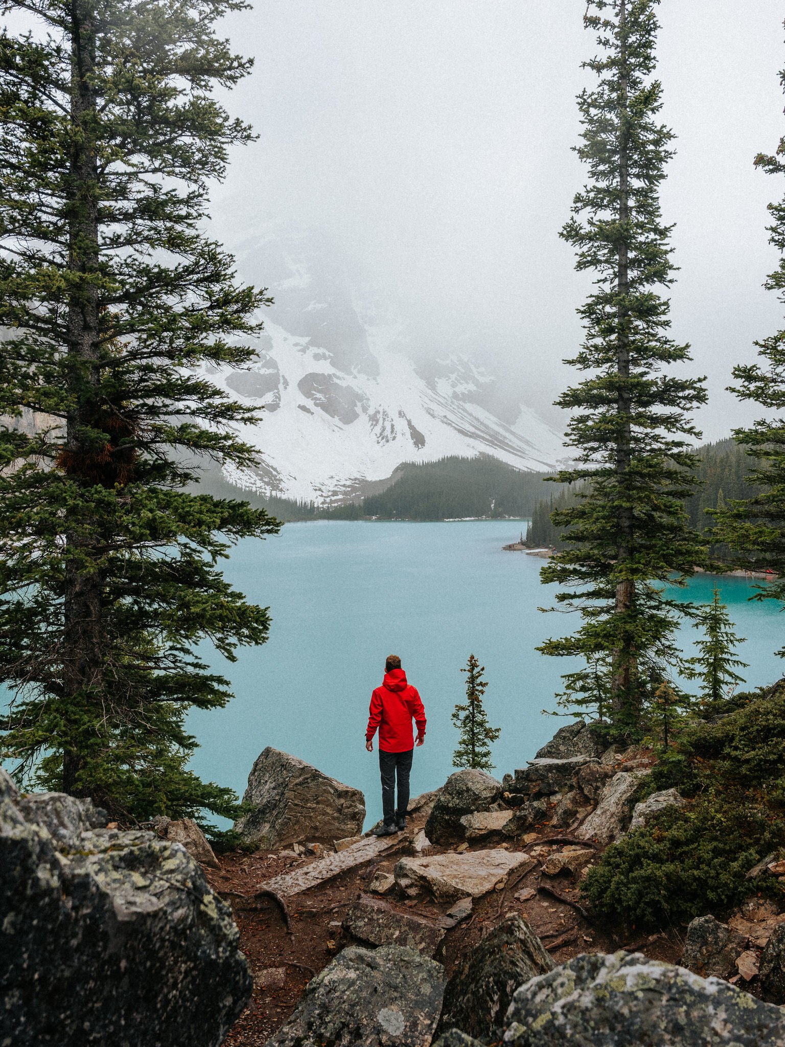 A person in a red jacket standing on rocky terrain overlooking a lake with snow-capped mountains and evergreen trees in the background.