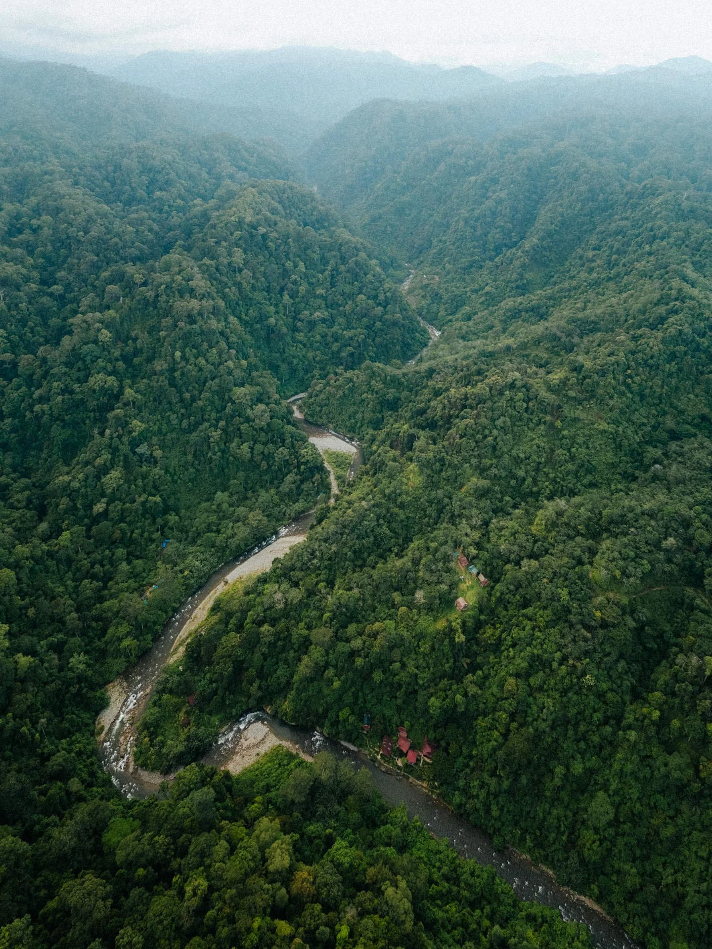 Aerial view of a lush green mountainous forest with a winding river flowing through the valley, surrounded by dense trees.
