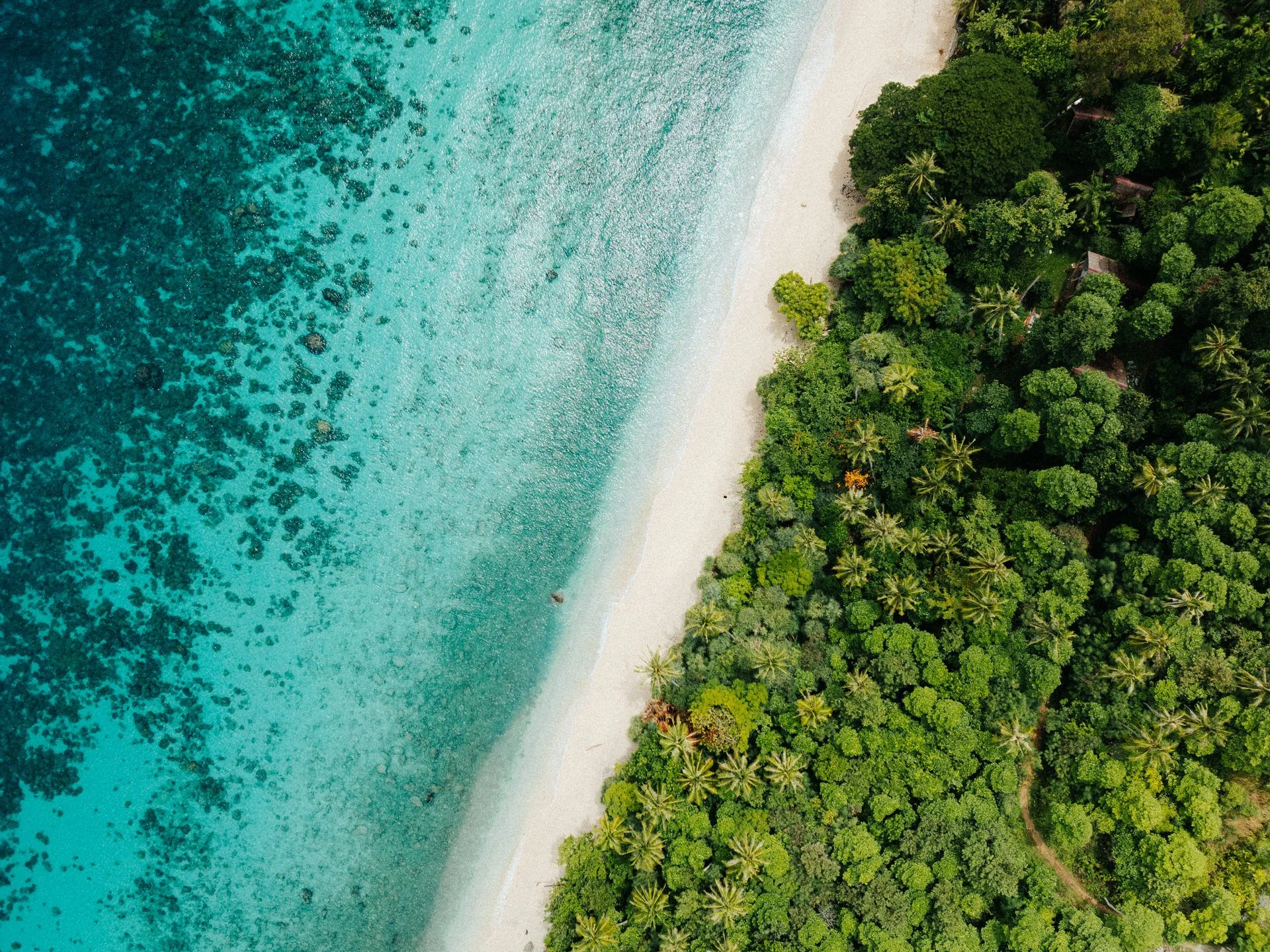 Aerial view of a tropical beach with white sand and turquoise ocean on the left, and lush green trees on the right.
