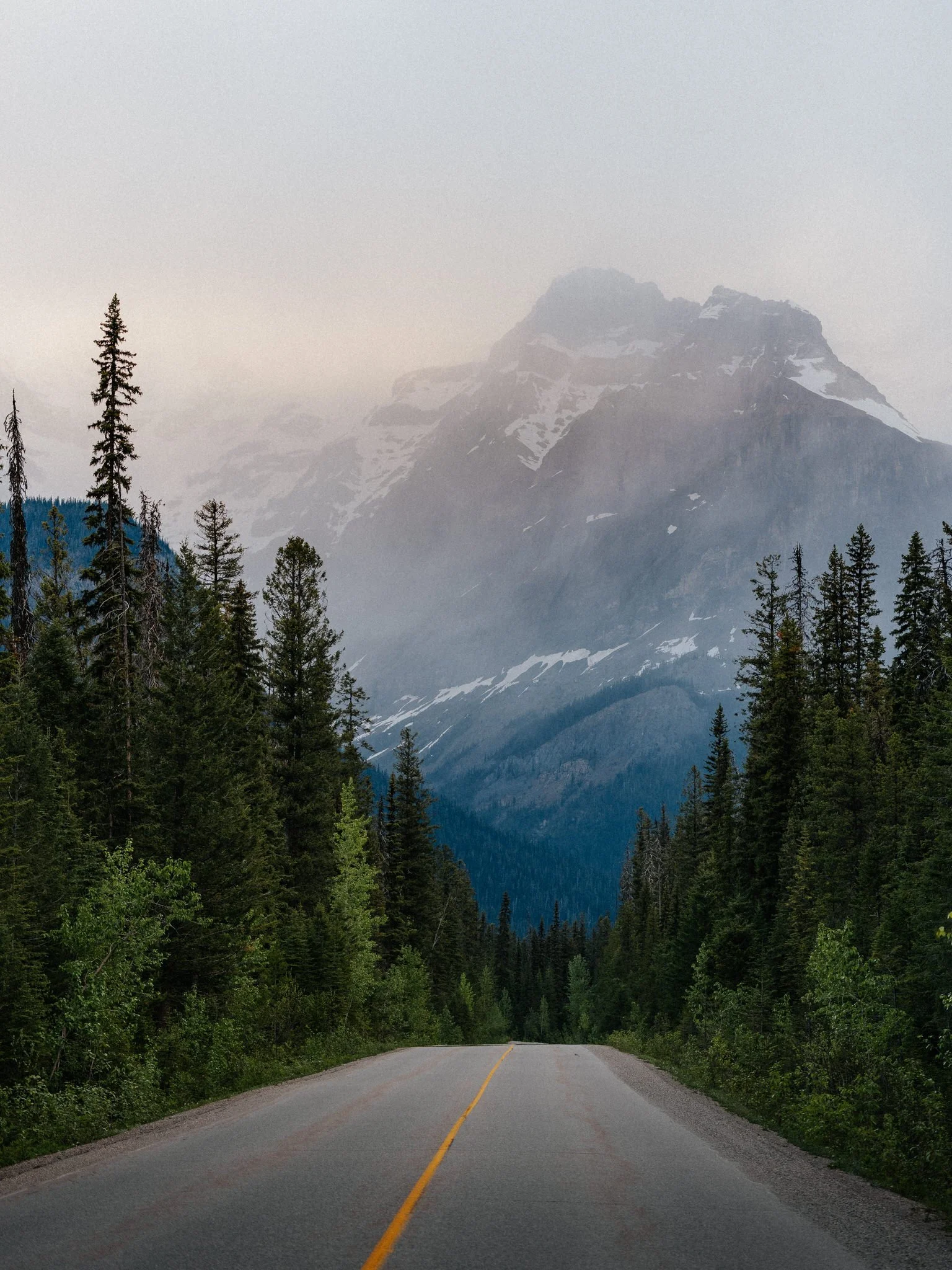 A scenic mountain road flanked by tall pine trees leading towards a large mountain with patches of snow, partially obscured by fog or clouds.