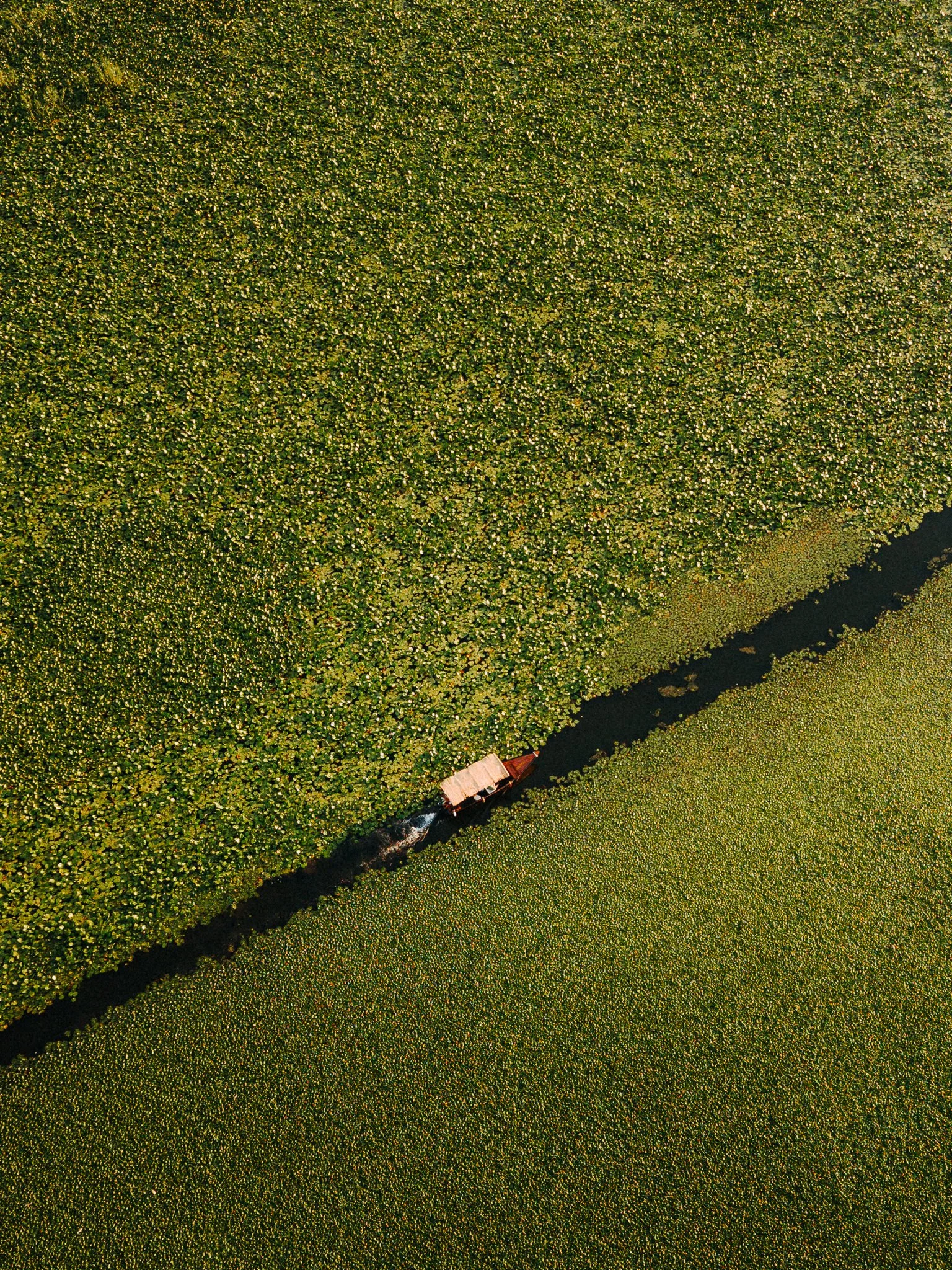 An aerial view of a boat traveling through a narrow waterway surrounded by dense green vegetation, possibly a jungle or swamp area.