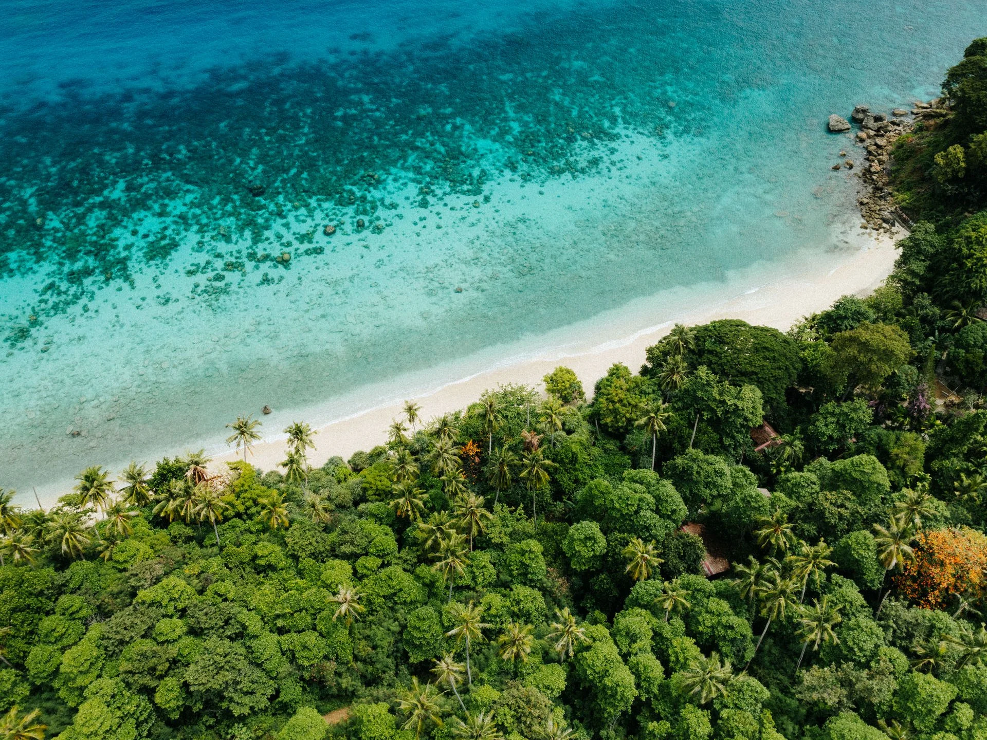 Aerial view of a tropical beach with clear blue water and white sand, bordered by lush green trees and palm trees.