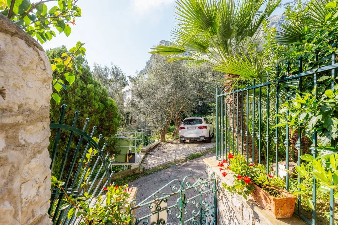A sunny outdoor scene featuring a driveway with a silver car parked among lush greenery, including palm trees, bushes, and potted flowering plants, surrounded by a green metal fence.