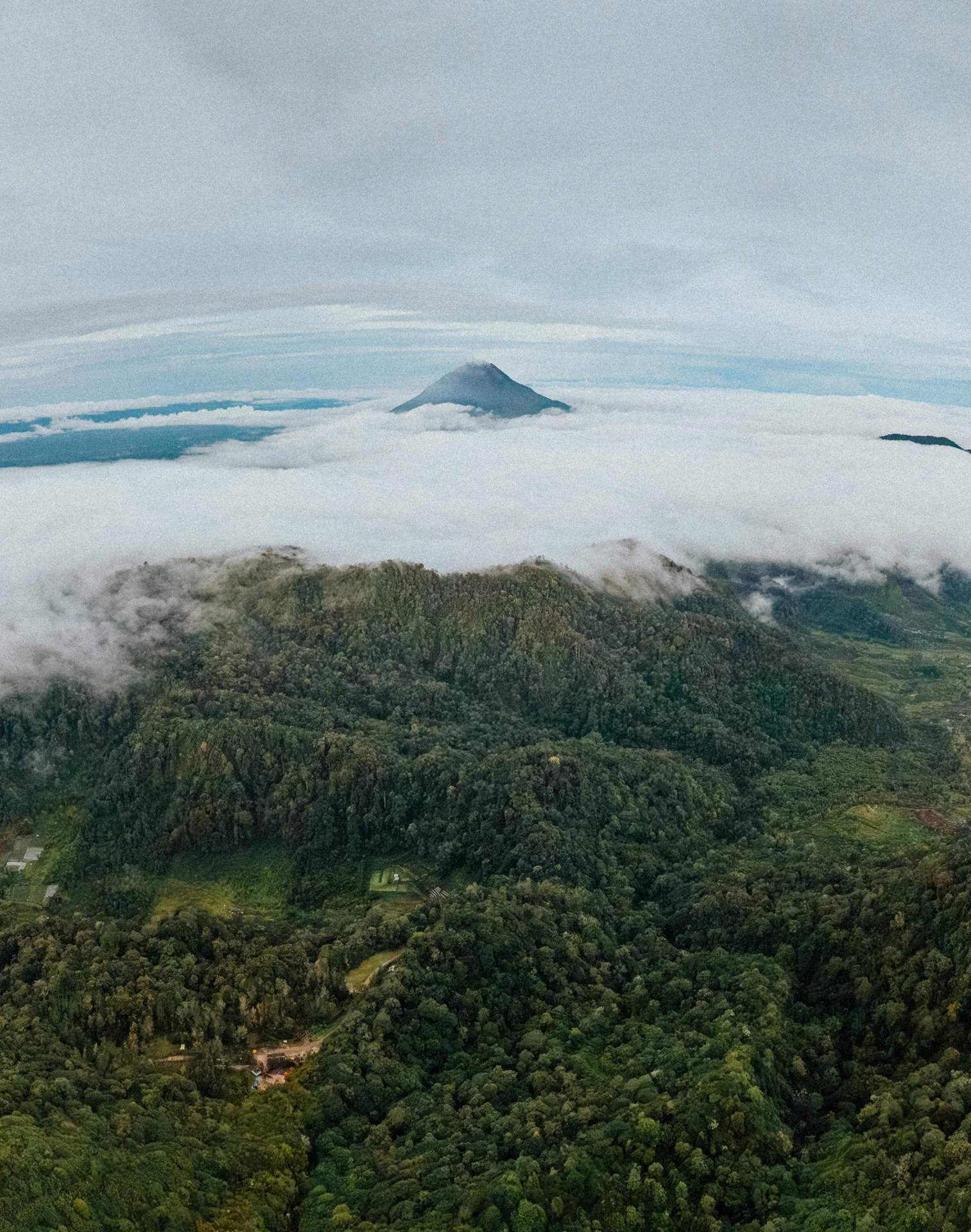 A mountain peak rising above a sea of clouds from a high vantage point over a lush green forest.