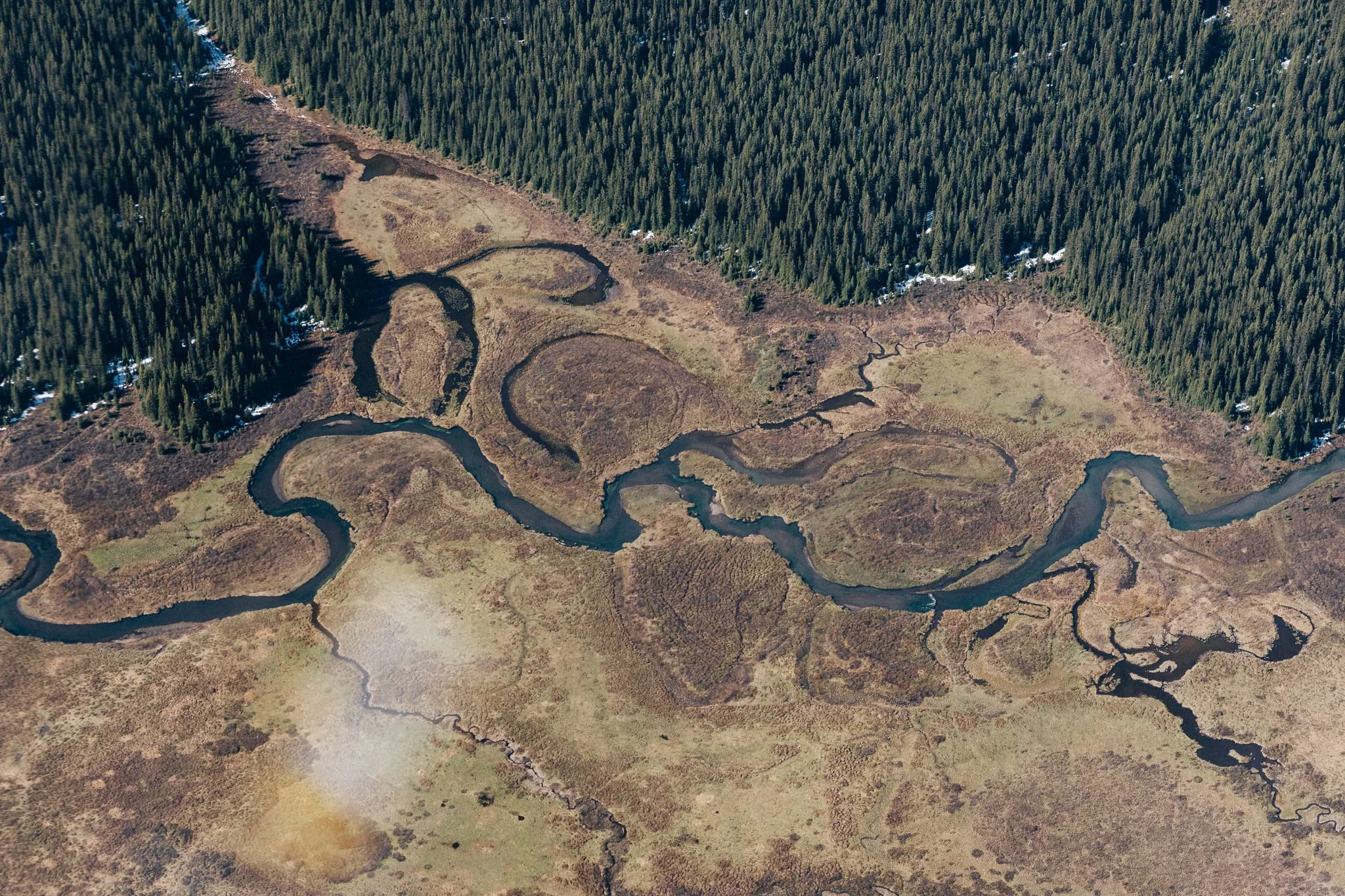 Aerial view of a winding river flowing through a marshy area surrounded by dense evergreen forest.
