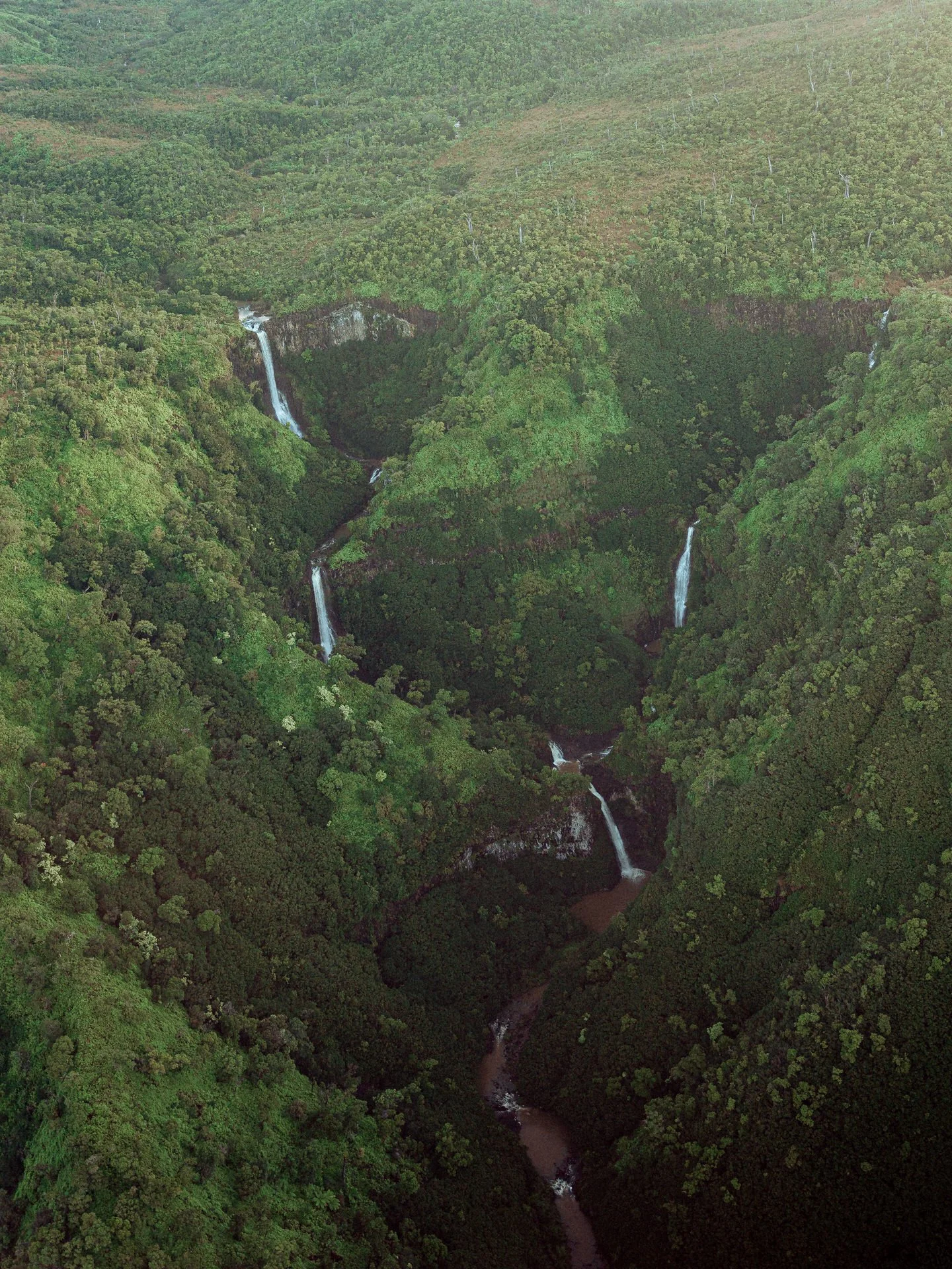Aerial view of a lush green forest canyon with multiple waterfalls cascading down the cliffs into the river below.