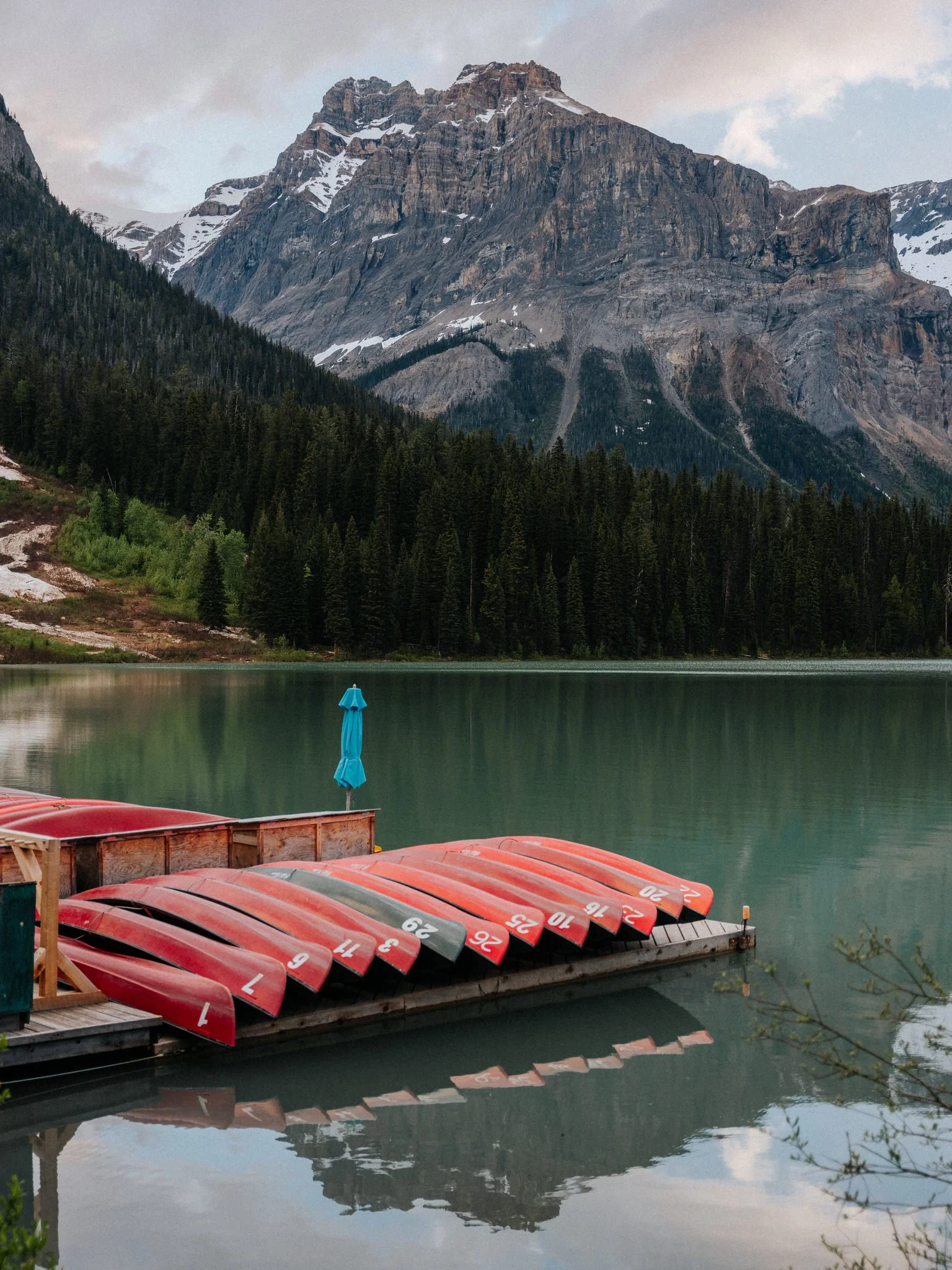 A row of red and black canoes with white numbers on a dock by a calm mountain lake, with pine trees covering the mountain slope and snow on the peaks in the background.