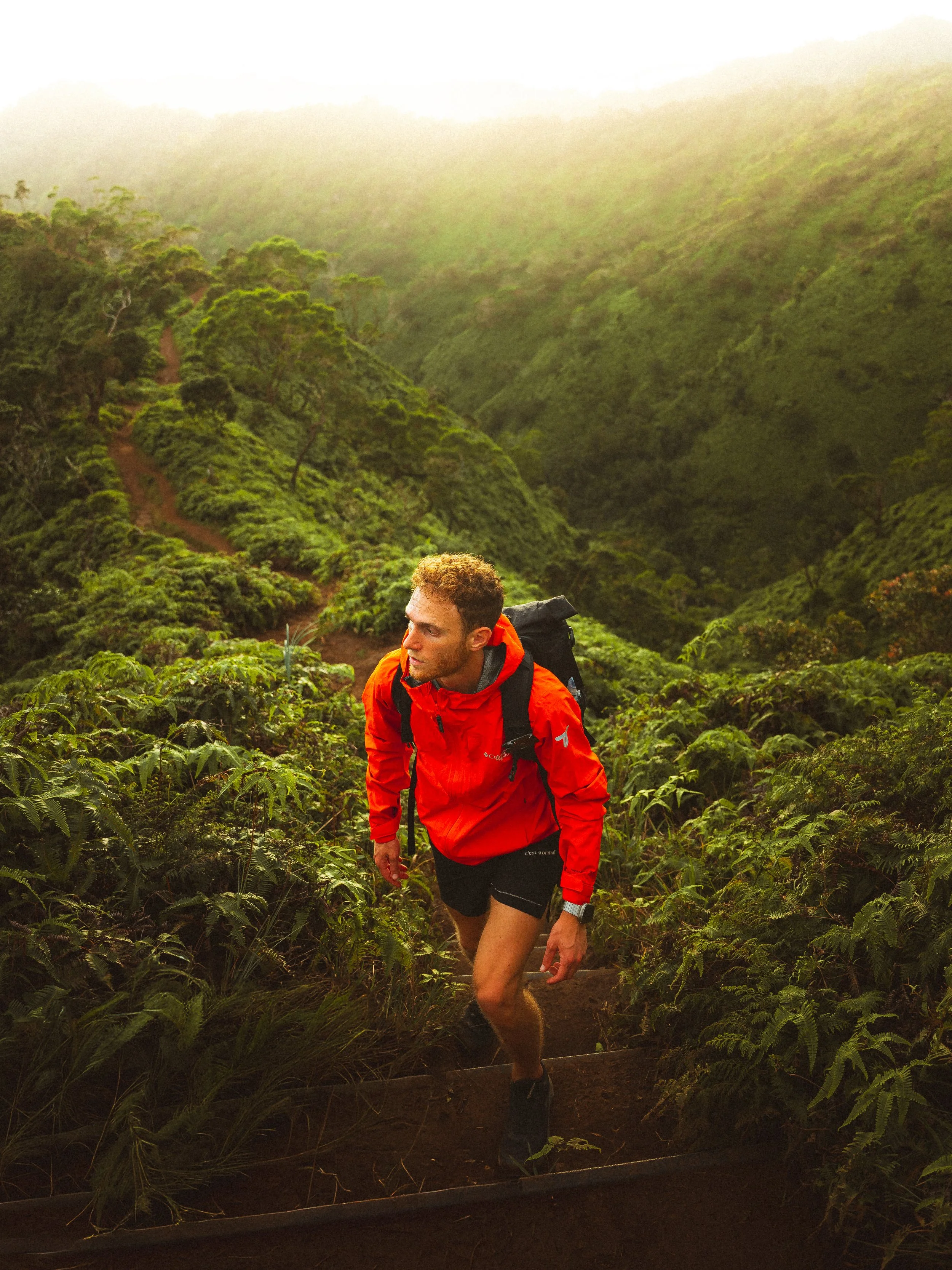A man in a red jacket and shorts hiking up a trail in a lush green forest, with misty hills in the background.