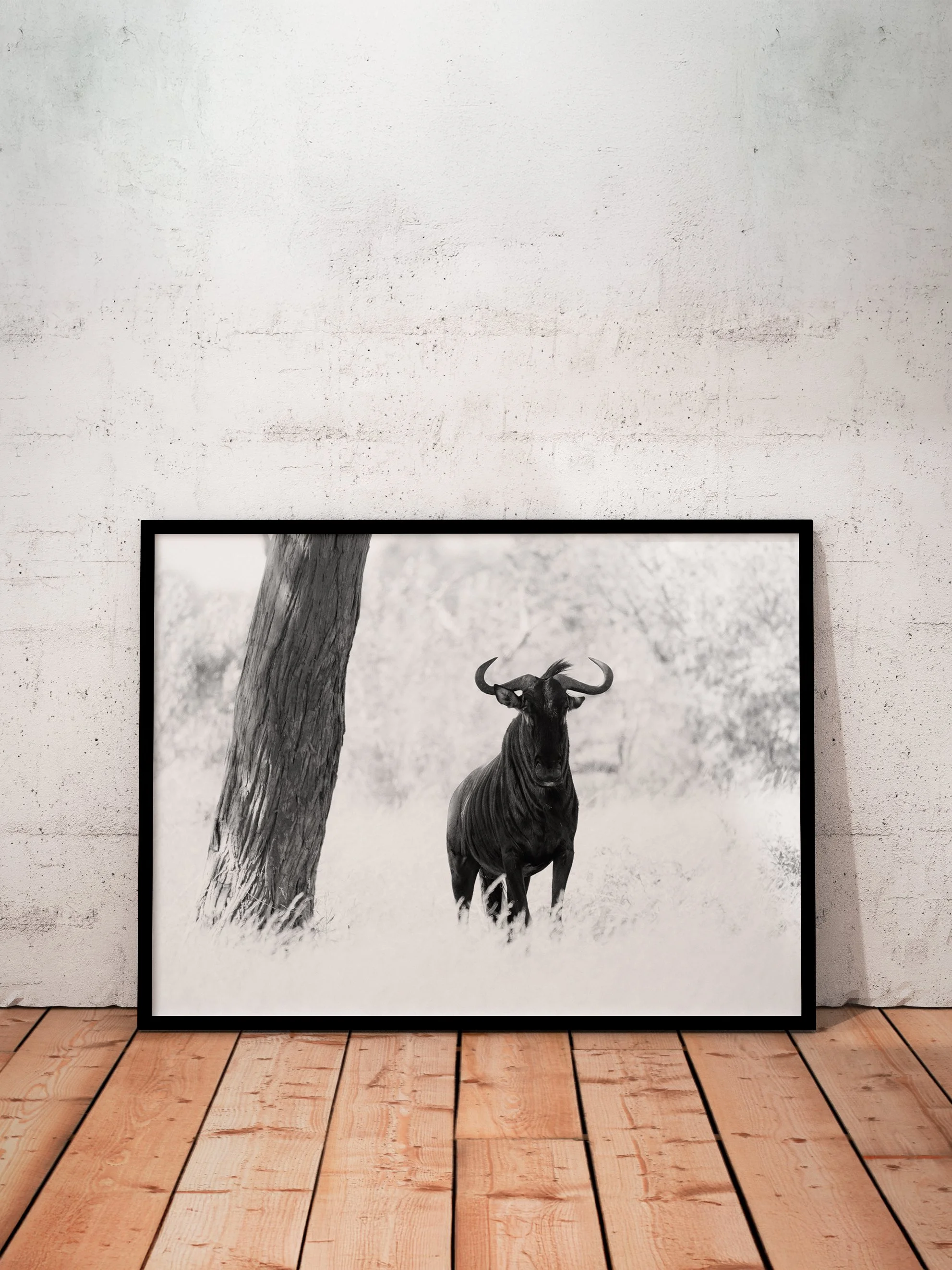 Wilderbeest.jpg