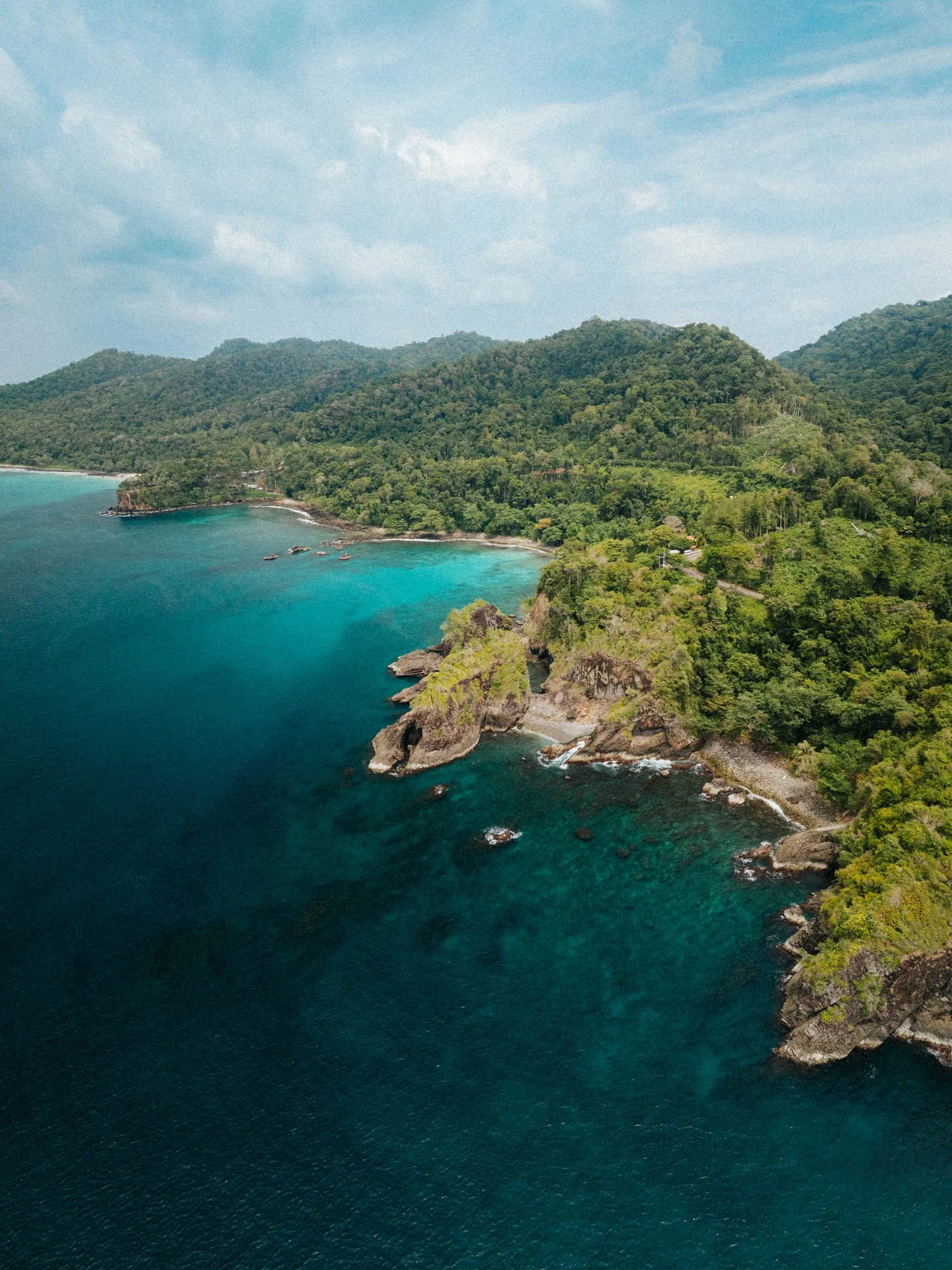 Aerial view of a lush green coastline with cliffs, small beaches, and turquoise ocean waters.