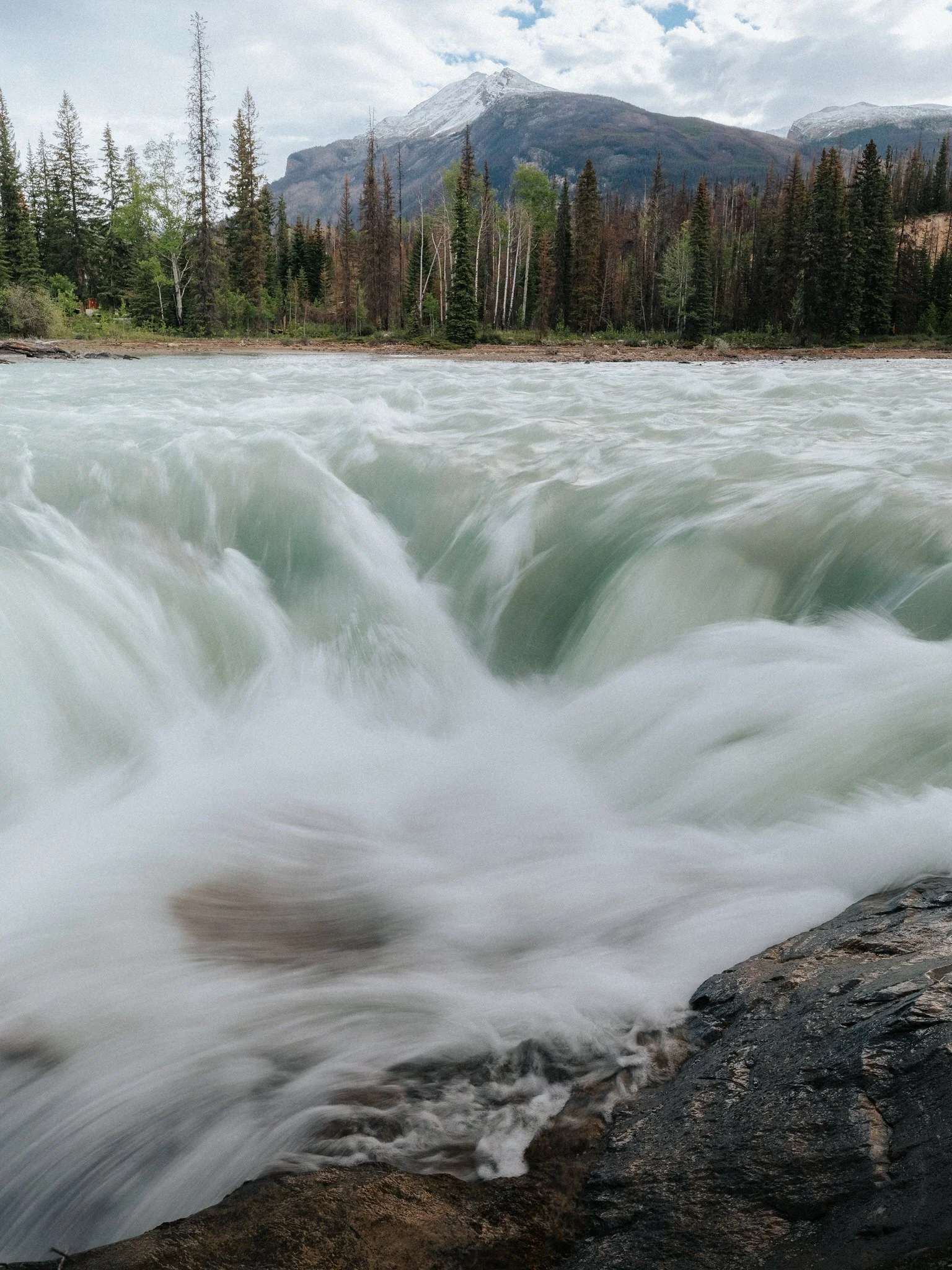 A rushing river with white water flowing over rocks, surrounded by a forest of tall evergreen and leafless trees, with a mountain in the background under a cloudy sky.