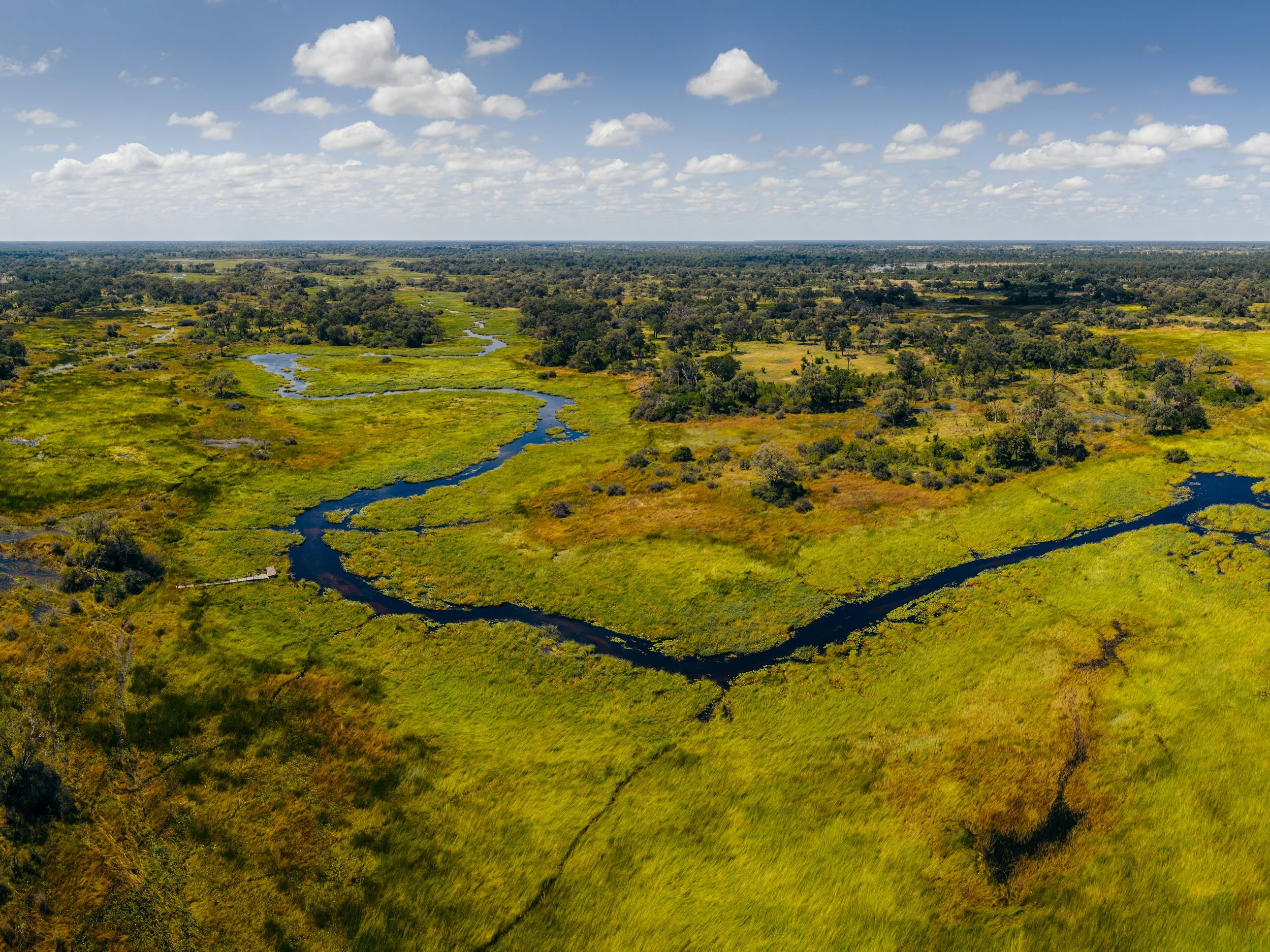 Aerial view of a lush green wetland landscape with winding water channels, surrounded by trees and open grassy areas under a partly cloudy sky.