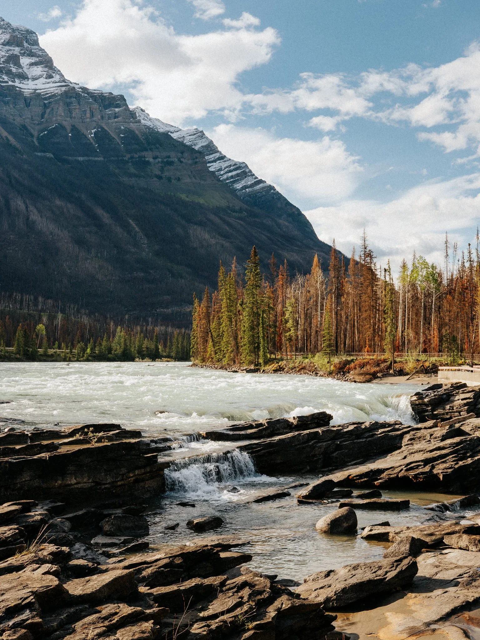 A river flowing over rocks with pine trees and a mountain in the background, under a partly cloudy sky.