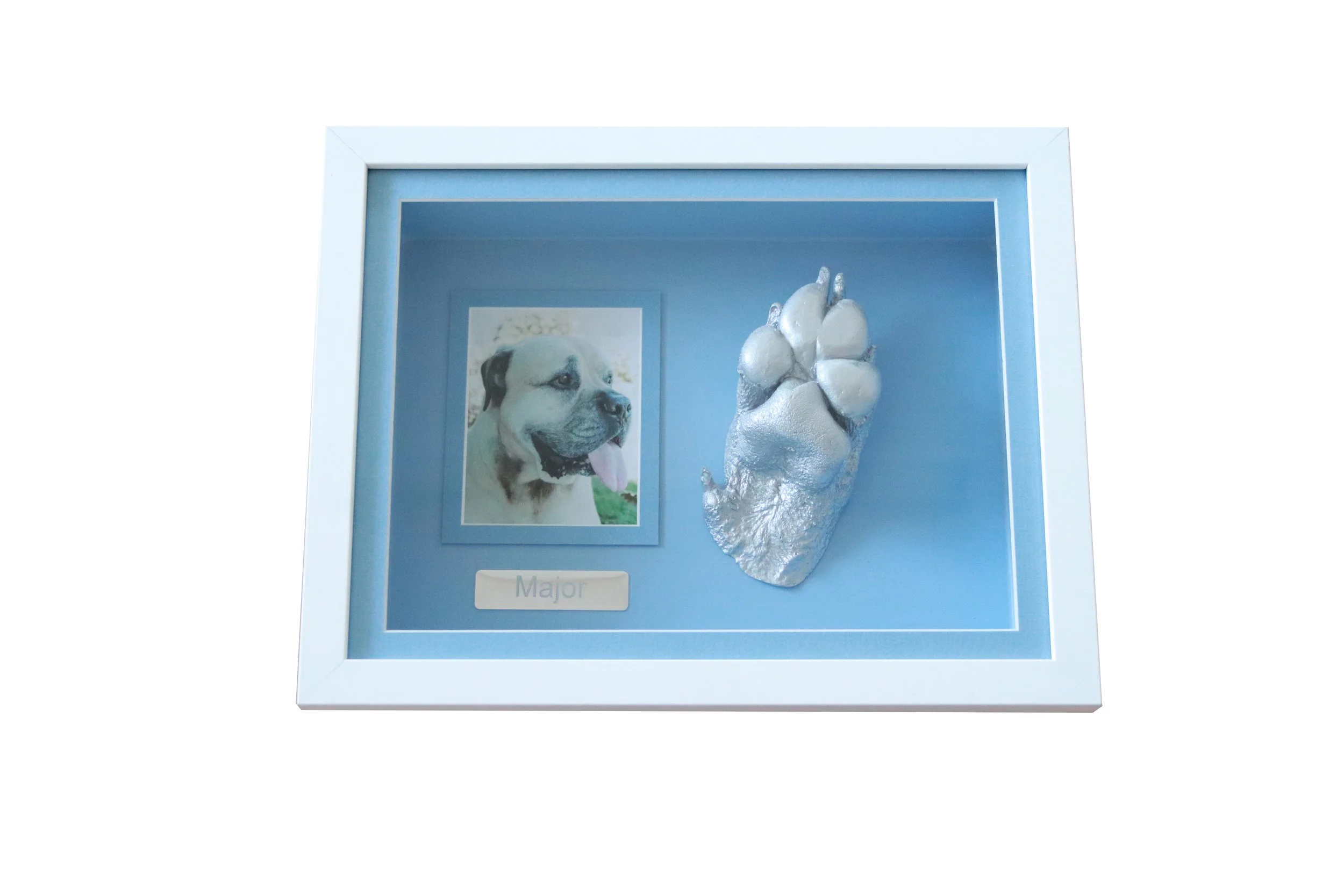 Sm Pet frame with paw 3d mold blue background white frame