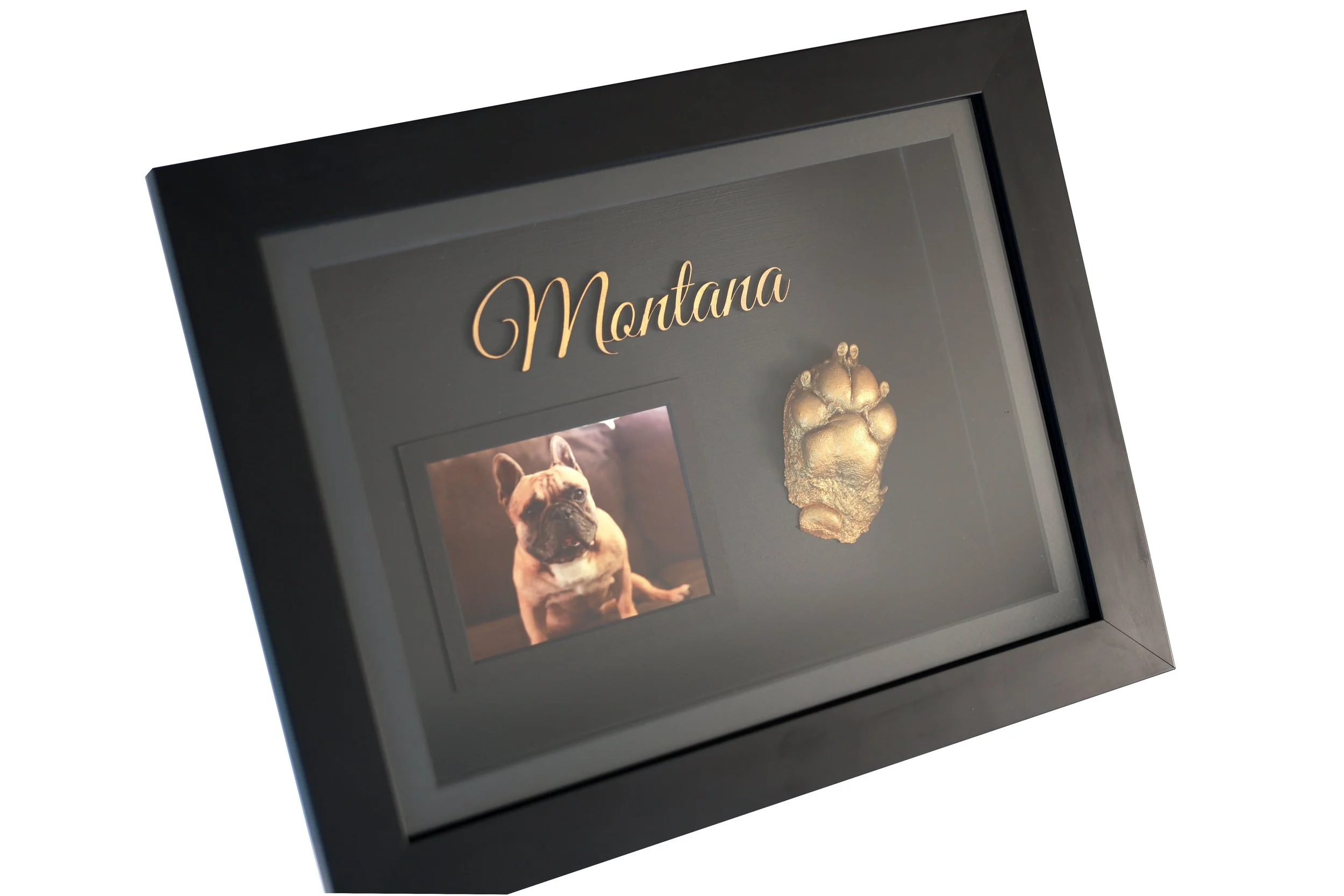 Pet paw casting in a frame with a 3d paw a photo and a name gold paw and a blackframe which looks so beautifully done a beautiful keepsake for someone who has lost their dog or pet