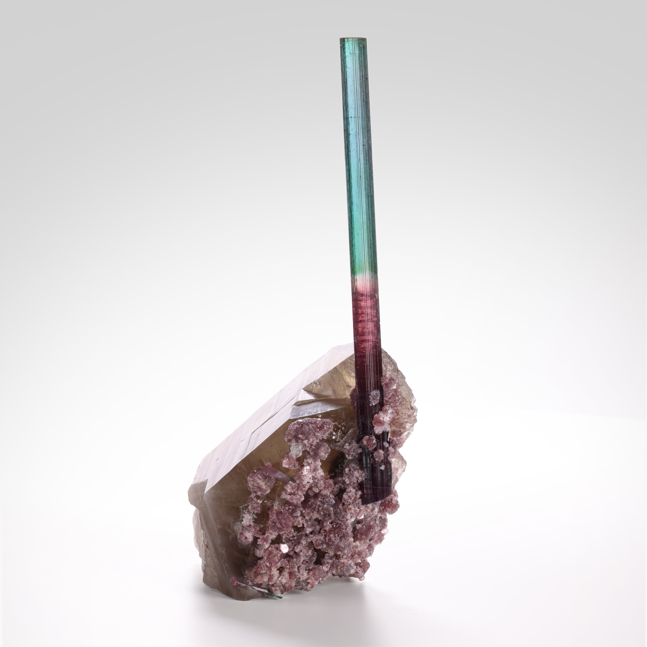 bicolor steel big bknd updated.jpg