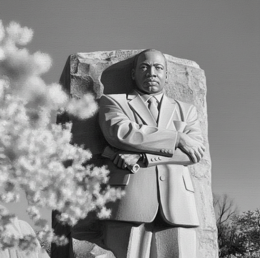 The Dream Cannot be Realized Without Financial Freedom