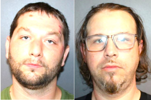 DEFENDANTS PLEAD GUILTY FOR POSSESSION OF ILLEGAL GUNS