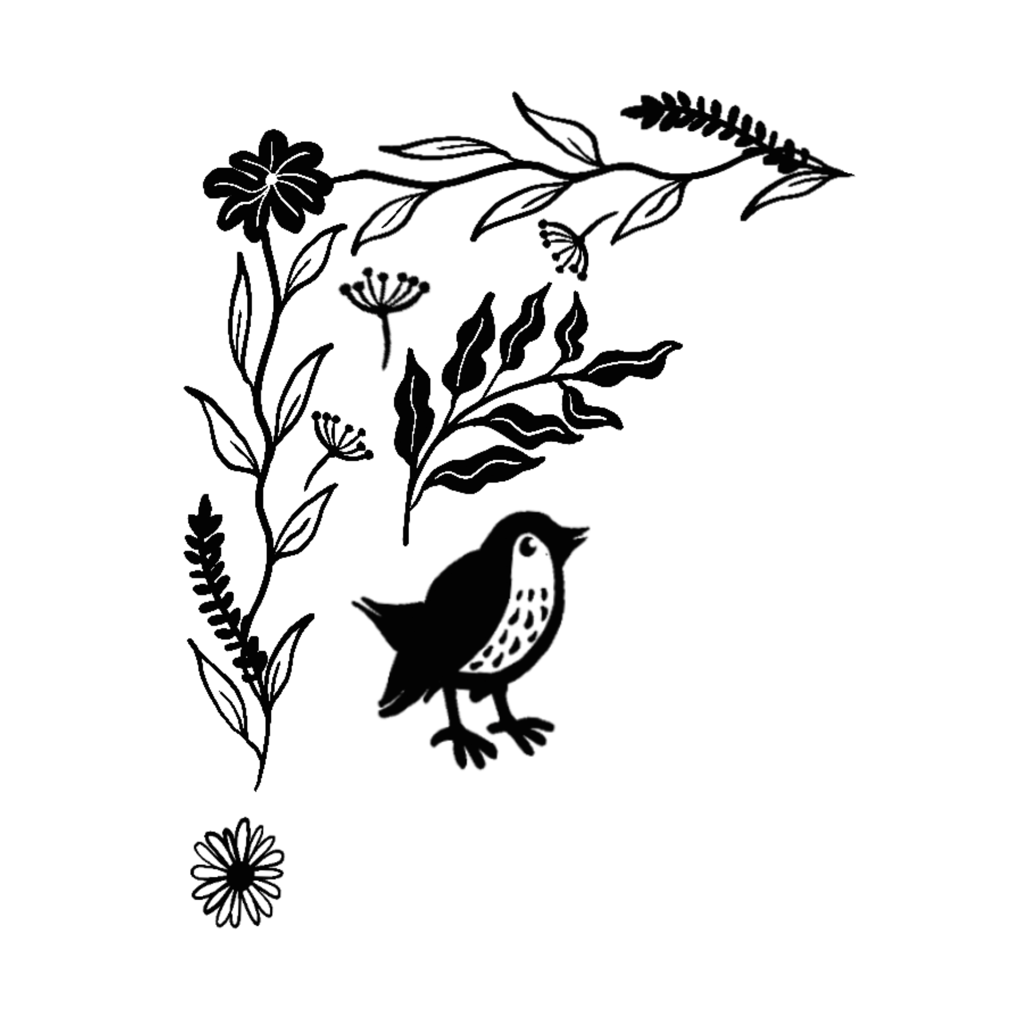IMG_0545.png