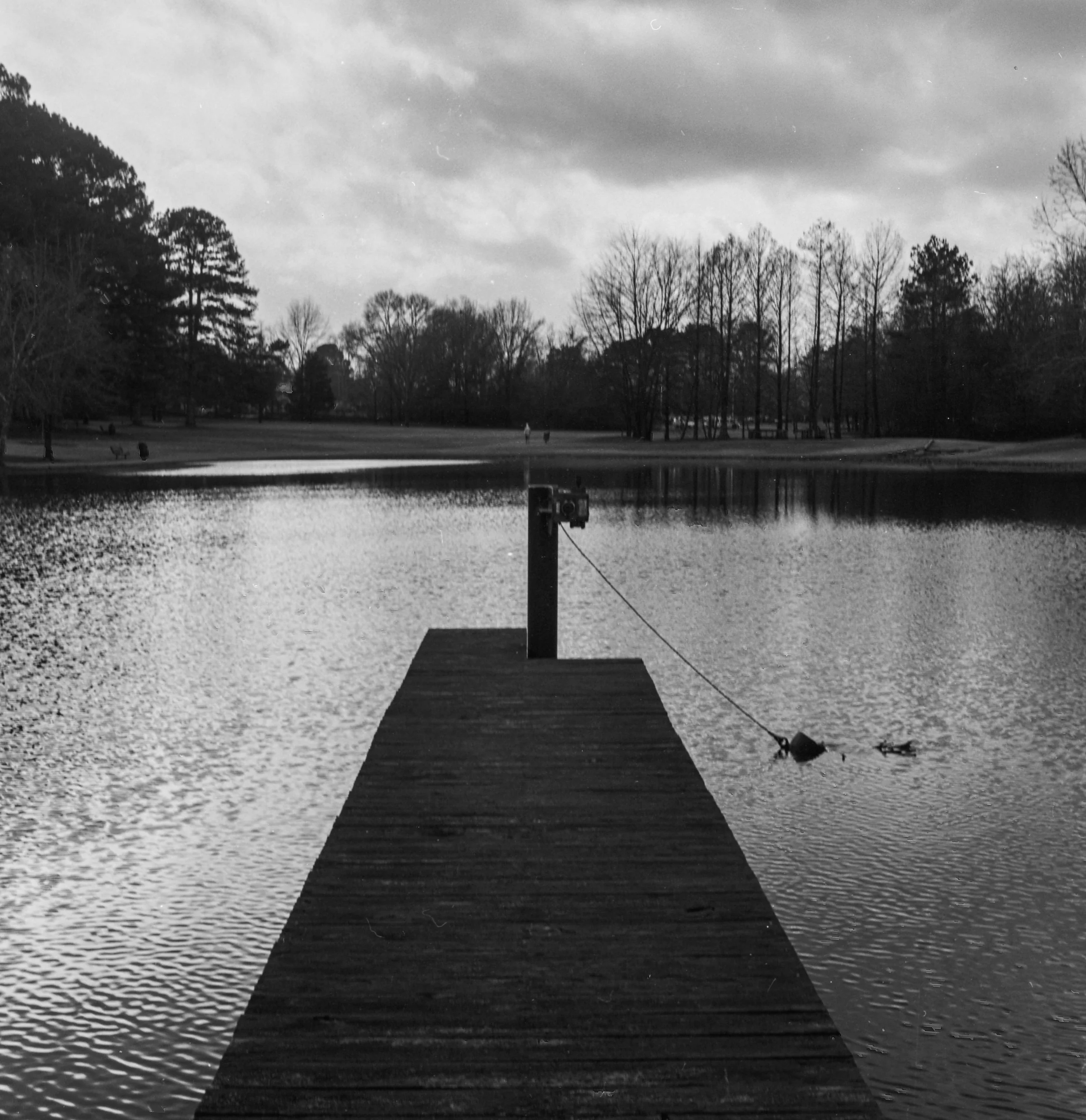 jan ‘23, shot on rollei infrared 400IR with yashica c