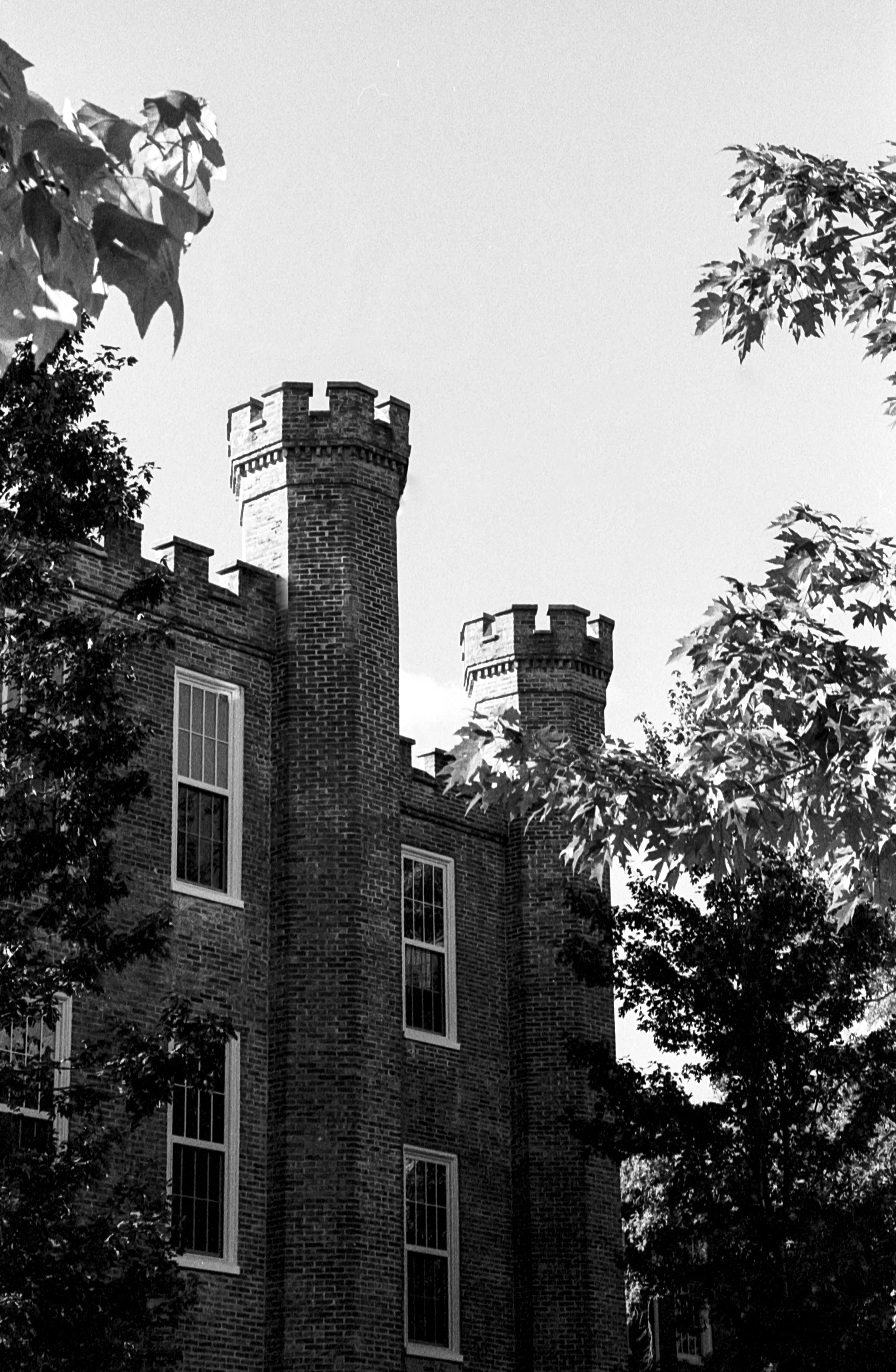 Untitled (3) (3).jpg