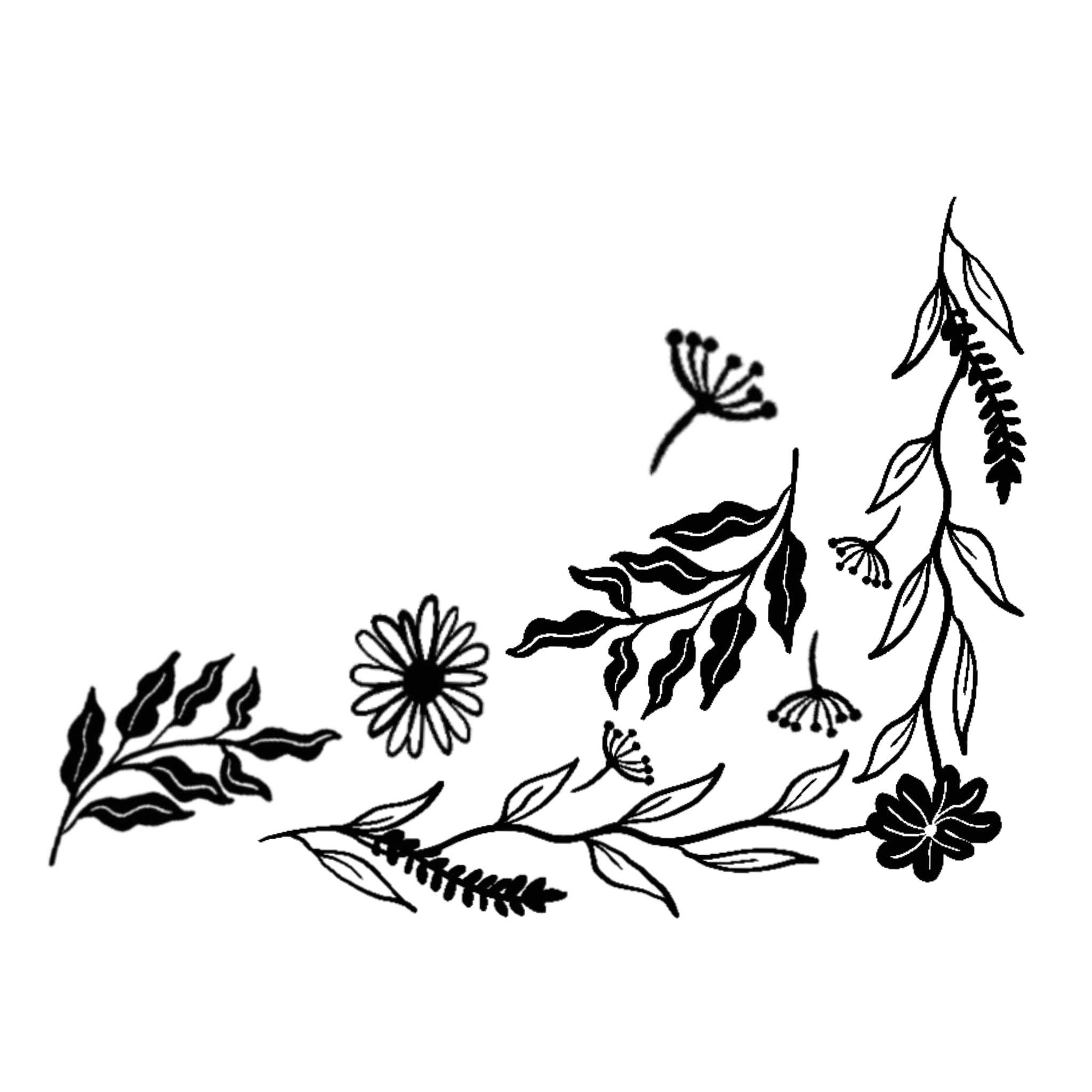 IMG_0547.png