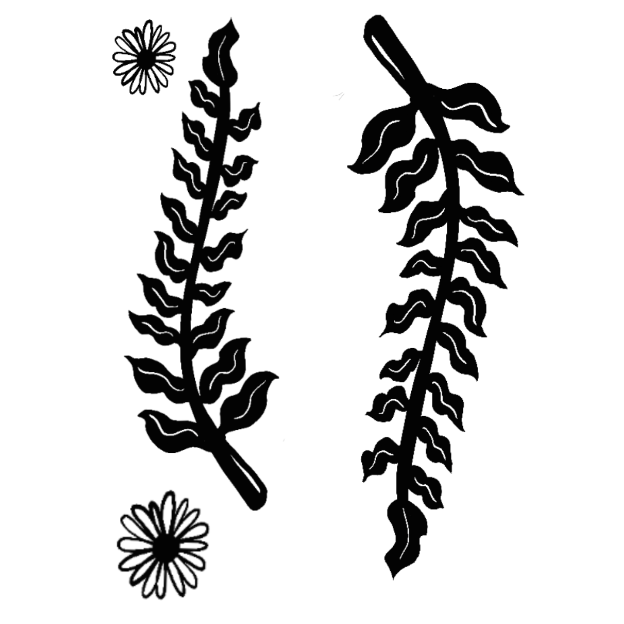 IMG_0548.png