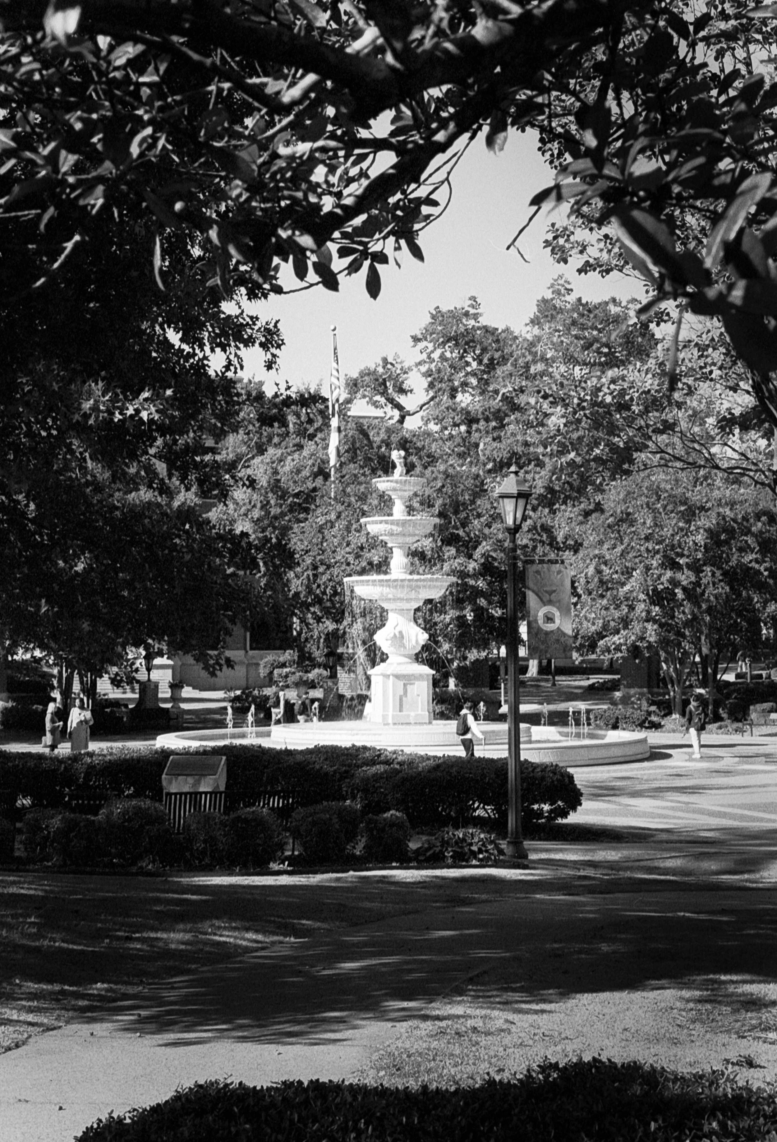 Untitled (11) (4) 2.jpg