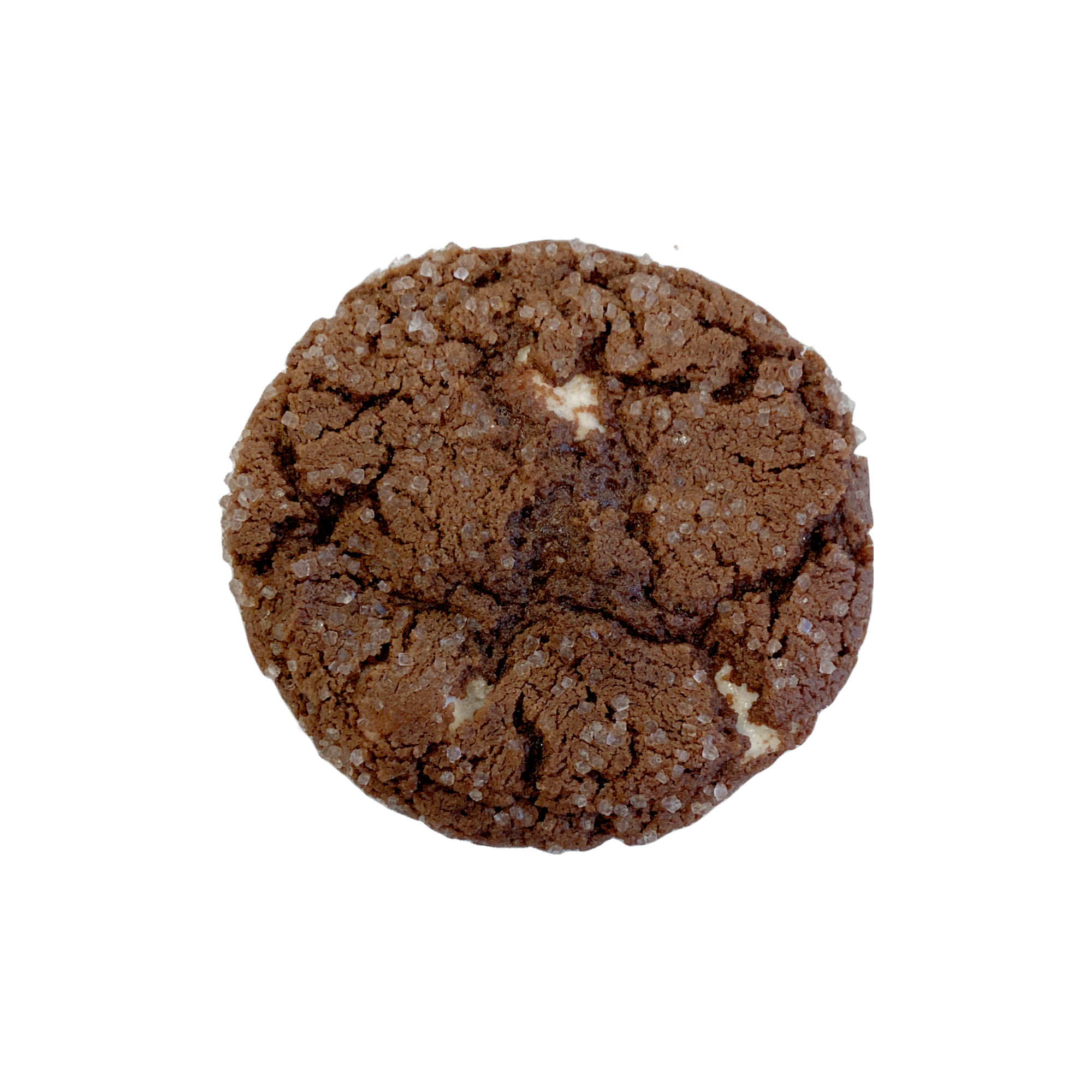 Hot Chocolate Sugar Cookie