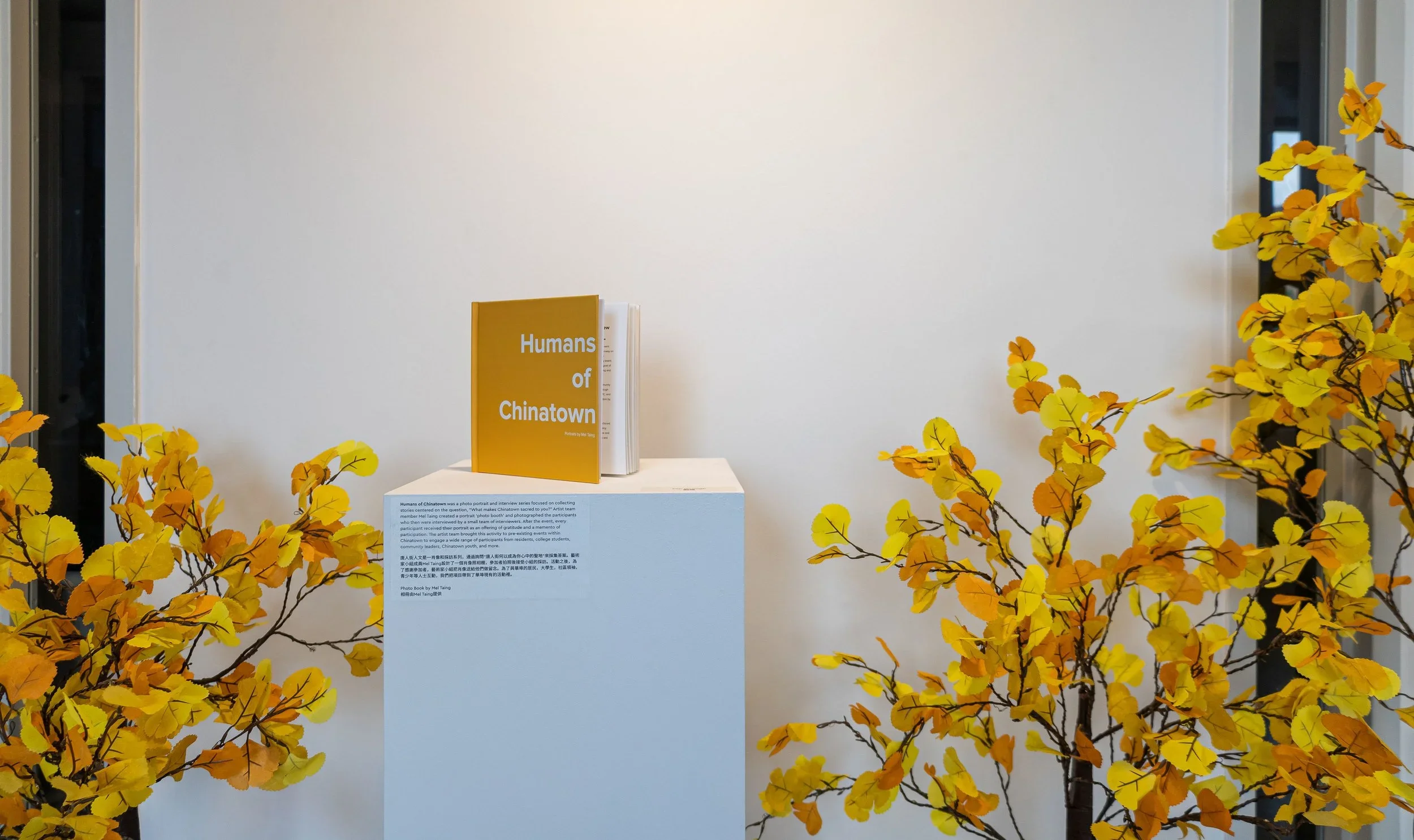 An interior display featuring a yellow book titled 'Humans of Chinatown' on a white pedestal, surrounded by artificial yellow and orange fall foliage.