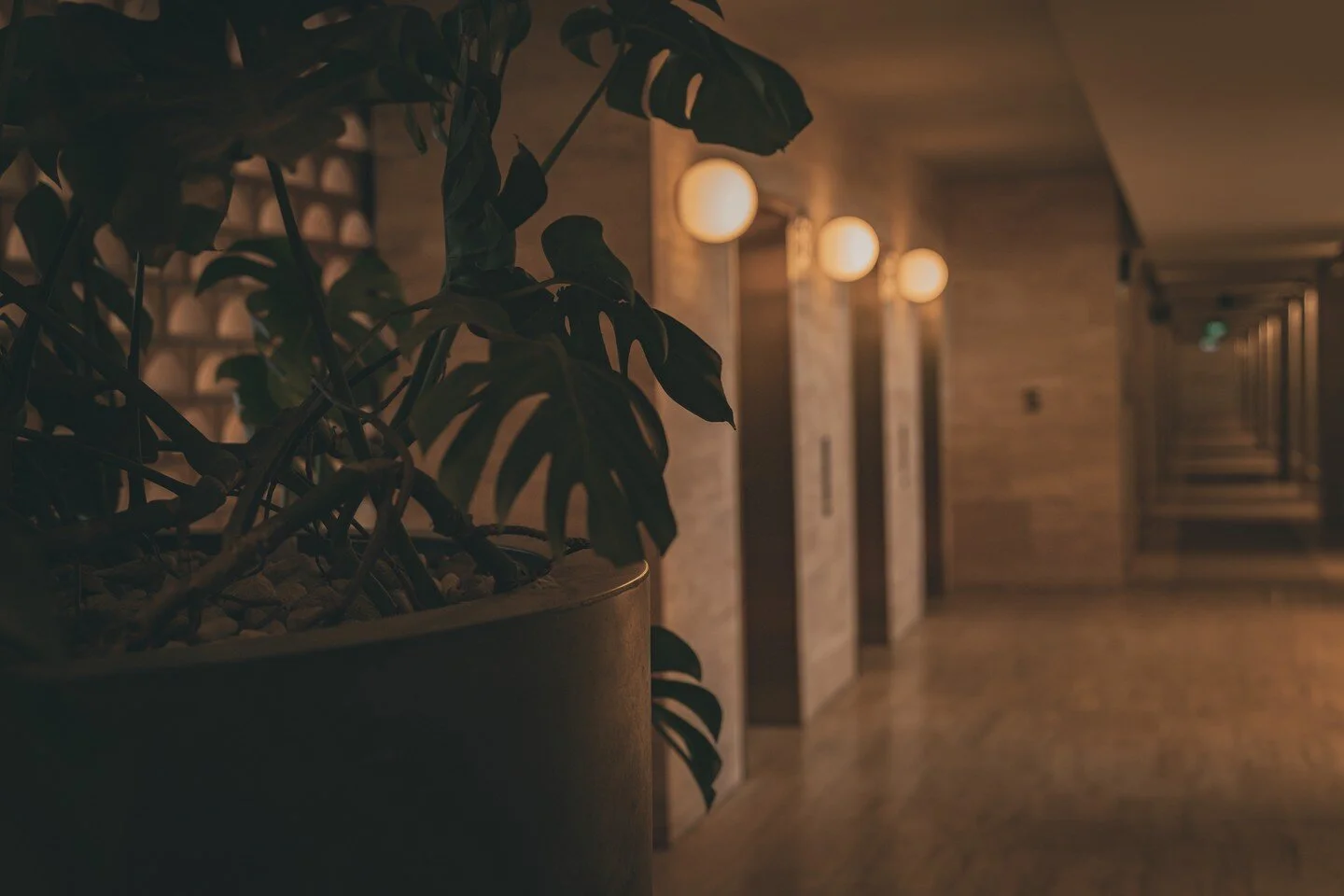 Magical moments at @thecalilehotel 

#calile #thecalile #brisbane #brisbanehotel #brisbanephotographer #fortitudevalley #breezeblocks
#archiporn #architecturephotography #ilovearchitecture #architecturaldigest
#architectural #architektur #architektur