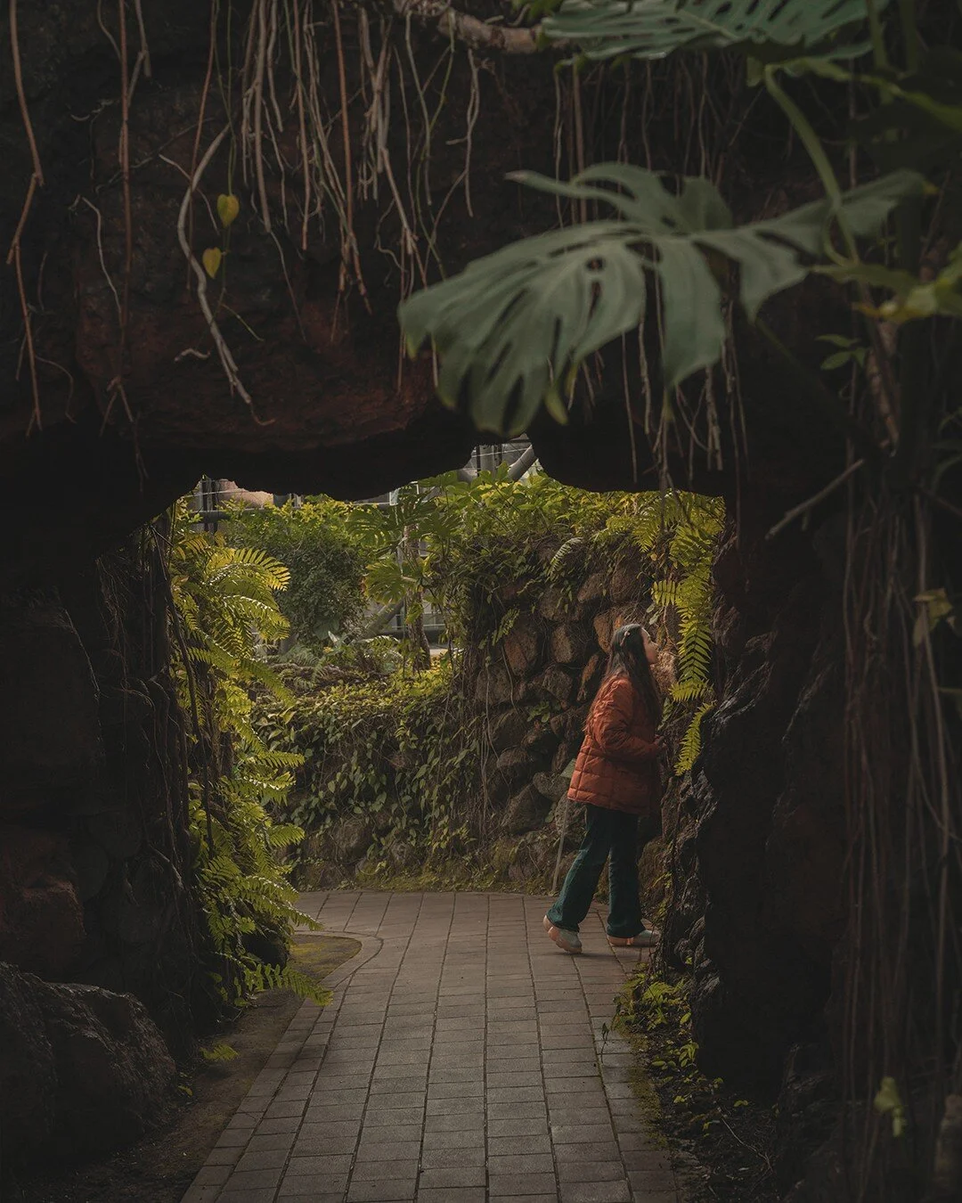 Majestic gardens at Yumenoshima Tropical Greenhouse, Tokyo 

#tropicalgreenhouse #greenhouse #tokyo #tokyogarden #dome #mostera #ferns #japanesegarden #japanesegirl #japantravel #iloveplants