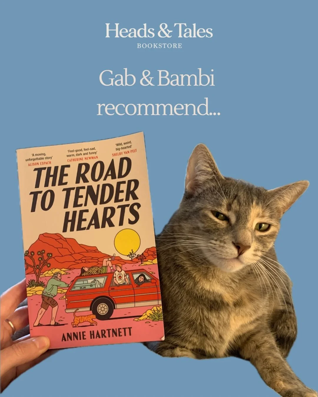 Gab &amp; Bambi recommend: The Road to Tender Hearts by Annie Hartnett 😻

They love it because&hellip;
✨ The cover art 😍
✨ It&rsquo;s quirky, funny, sad and true 💔
✨ It will stay with you, in the same way that Remarkably Bright Creatures does 🐙

