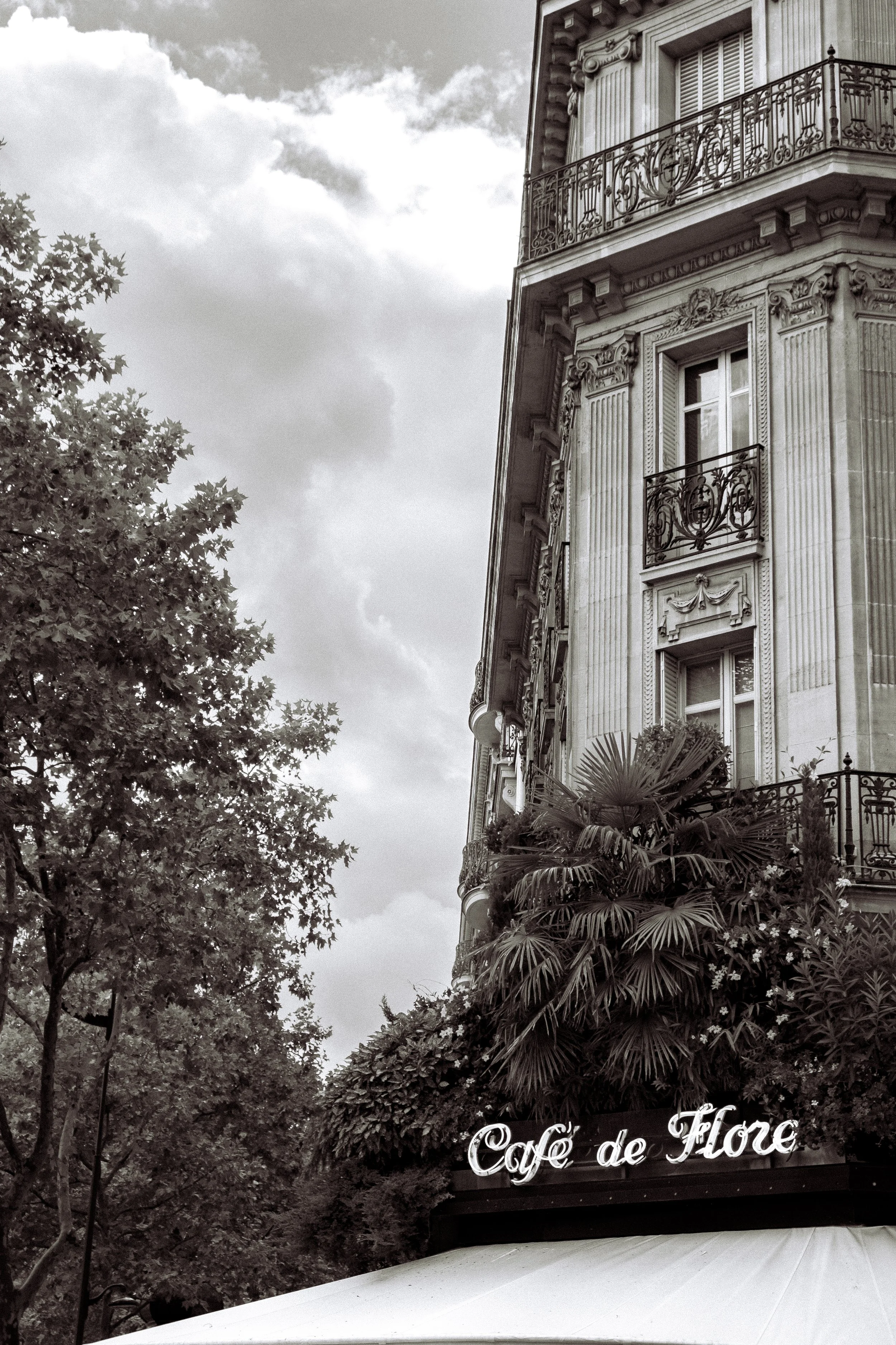 Caffe de Flore Print.jpg