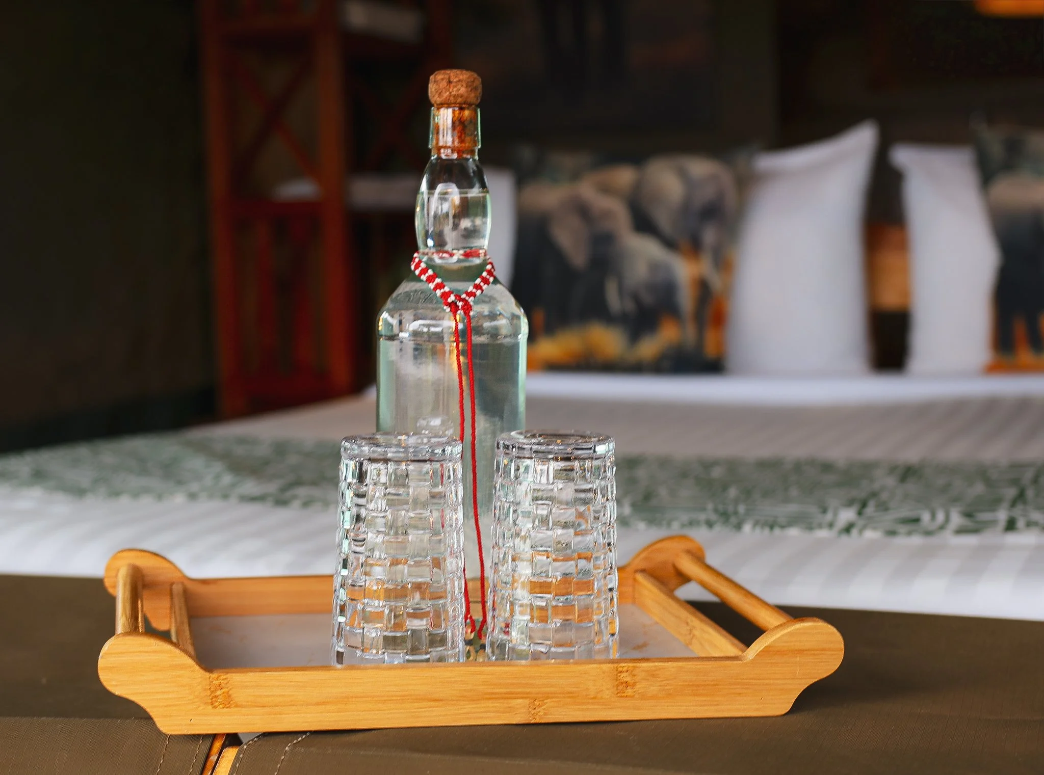 Double Tent - Amboseli Discovery Camp - Angle 10.jpg