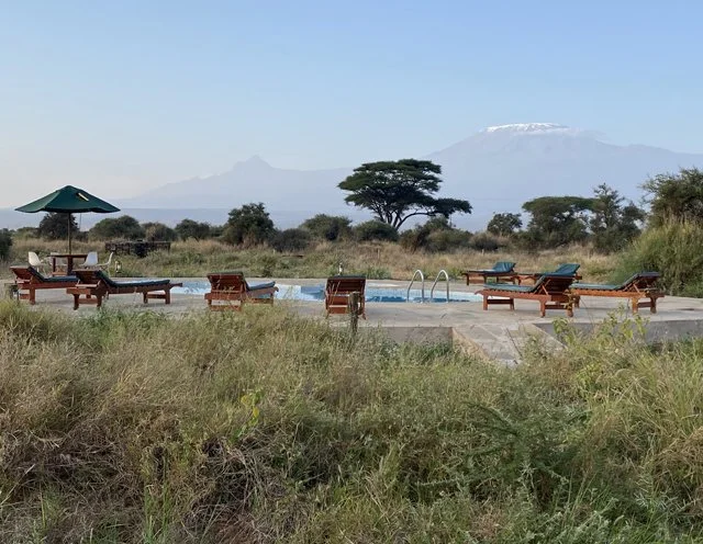 Outdoor swimming pool with wooden lounge chairs and umbrellas in a grassy field, with mountains and trees in the background
