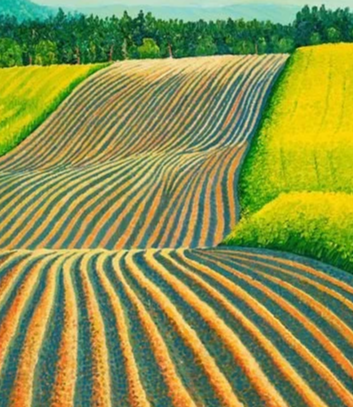 Along the Field - Thursday May 7th, 7:00pm