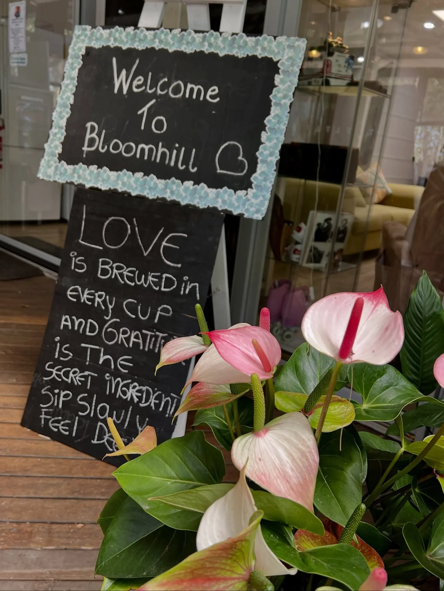 @bloomhillcancercare were one of the open gardens featured in the Buderim Garden Festival last weekend. 
Volunteers did a wonderful job preparing the site for garden enthusiasts to visit and enjoy the peaceful nature of the 100metre boardwalk throug