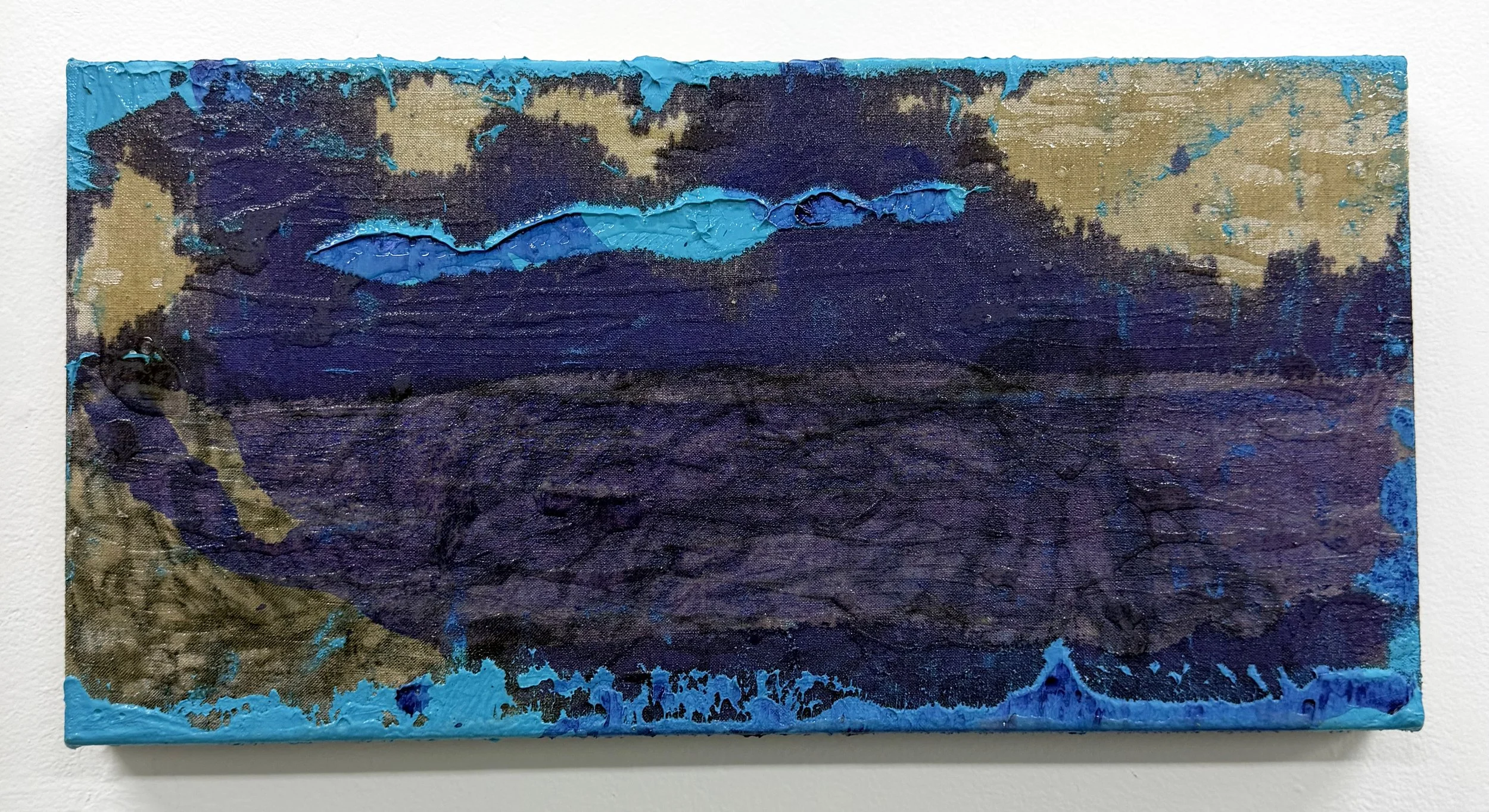 Dona Nelson - Untitled, 2026 (20"x10")