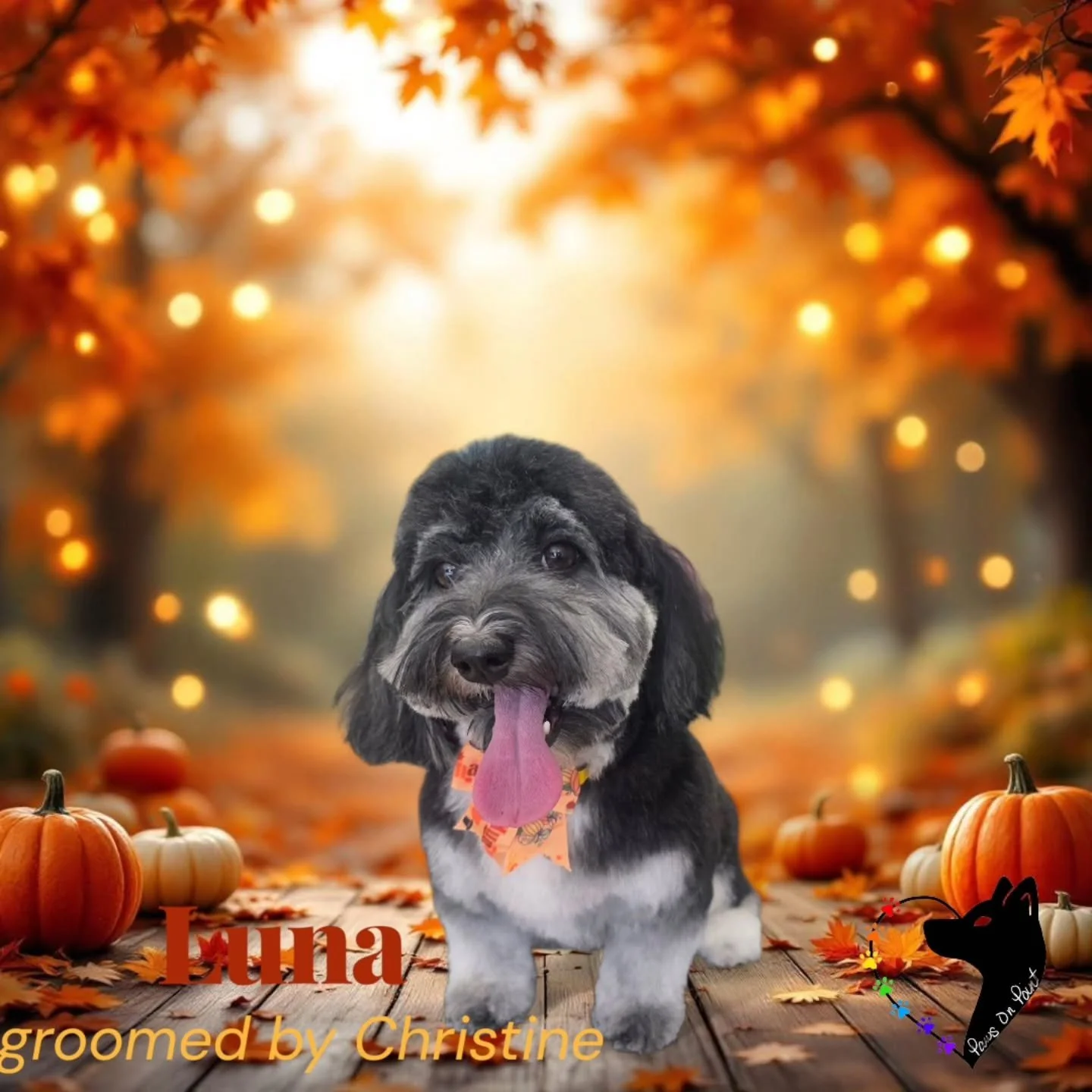 Give thanks for clean pups! 🐾🦃 Let&rsquo;s get your dog holiday-ready with a fresh groom before the turkey hits the table. Book your spot today &mdash; appointments are filling up fast!

#ThankfulForPaws #Fluffsgiving #PawsGiving
#ThankfulTails #Go