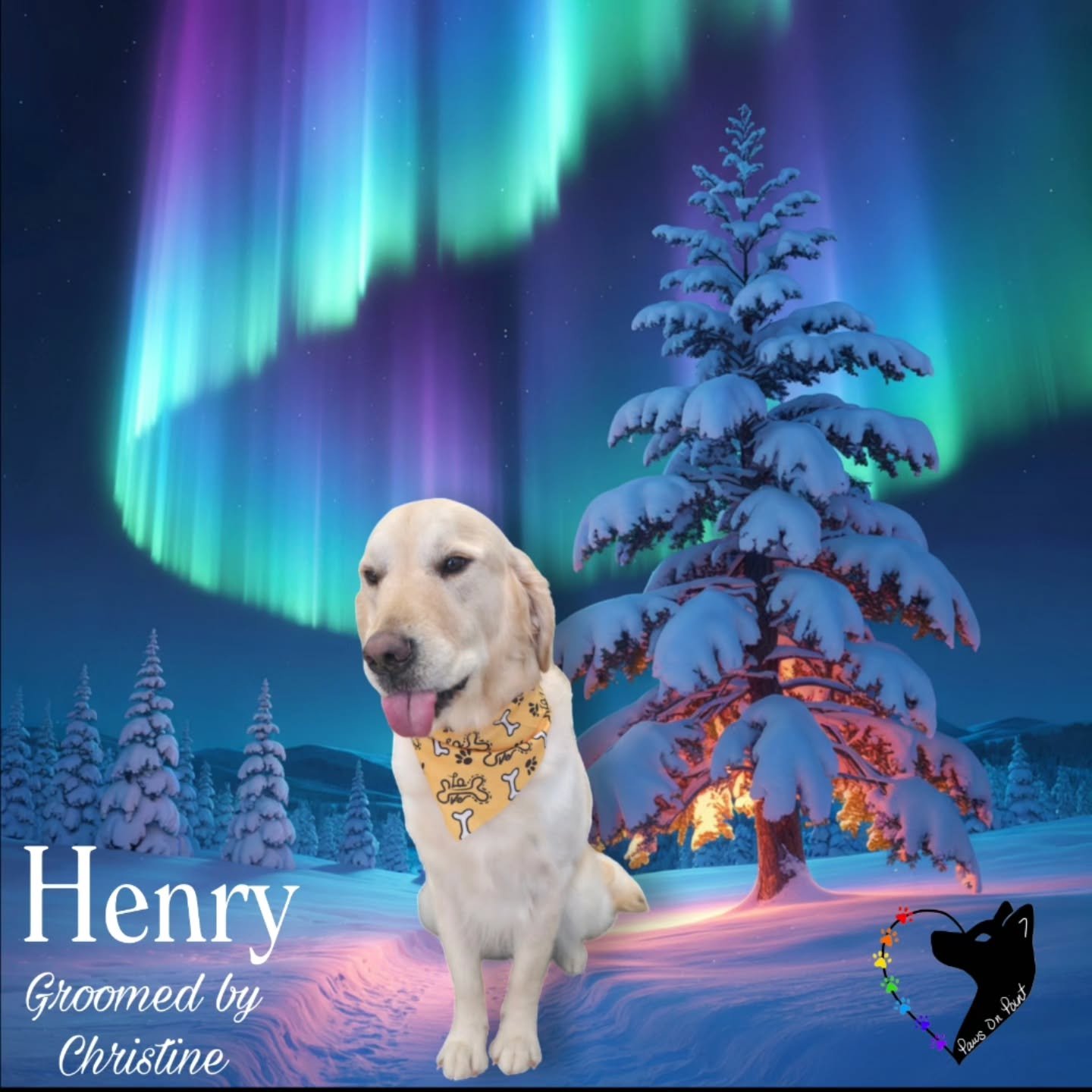 Fresh grooms. Happy dogs. Calm care done right.
Starting the year strong at Paws on Point. Book now! PawsonpointLV.com 702.329.8833