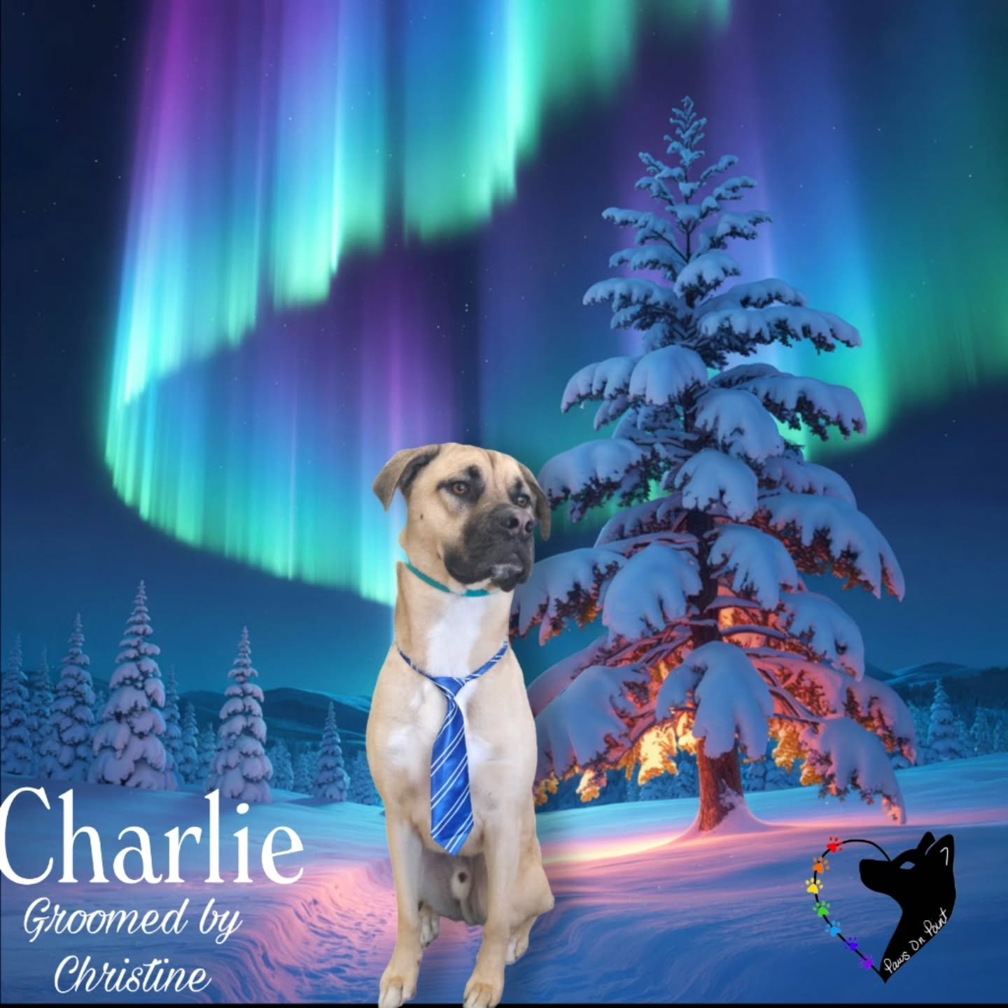 Fresh grooms. Happy dogs. Calm care done right.
Starting the year strong at Paws on Point. Book now! PawsonpointLV.com 702.329.8833