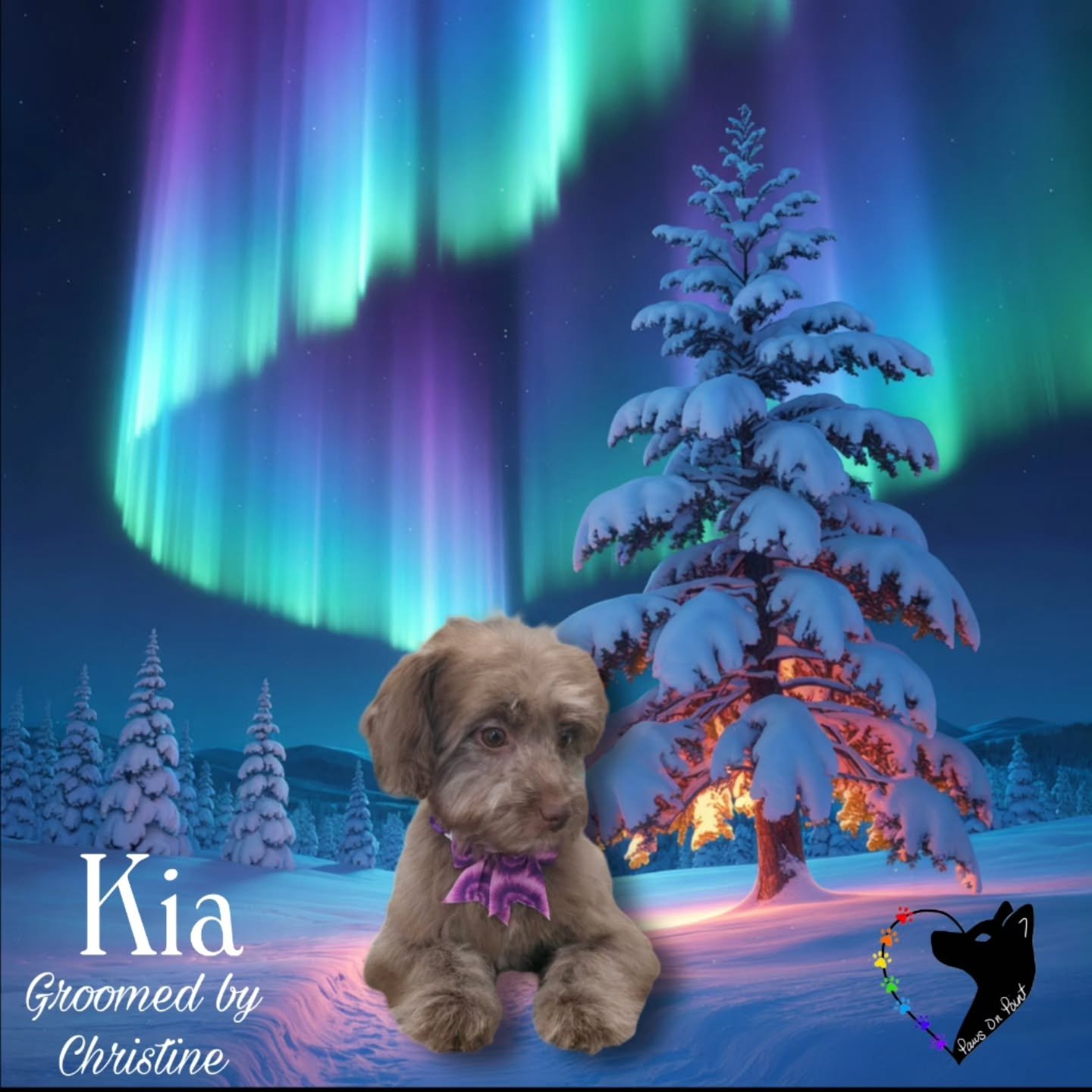 Fresh grooms. Happy dogs. Calm care done right.
Starting the year strong at Paws on Point. Book now! PawsonpointLV.com 702.329.8833