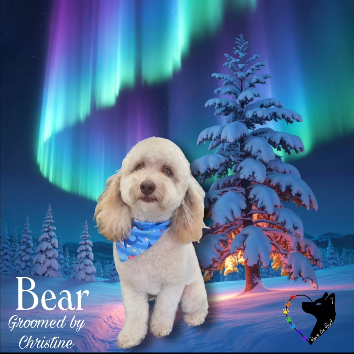 Fresh grooms. Happy dogs. Calm care done right.
Starting the year strong at Paws on Point. Book now! PawsonpointLV.com 702.329.8833

#NewYearSameGoodDog #ResolutionToLookThisGood #FreshFurEnergy #FreshGroomFeels #dogsarelife