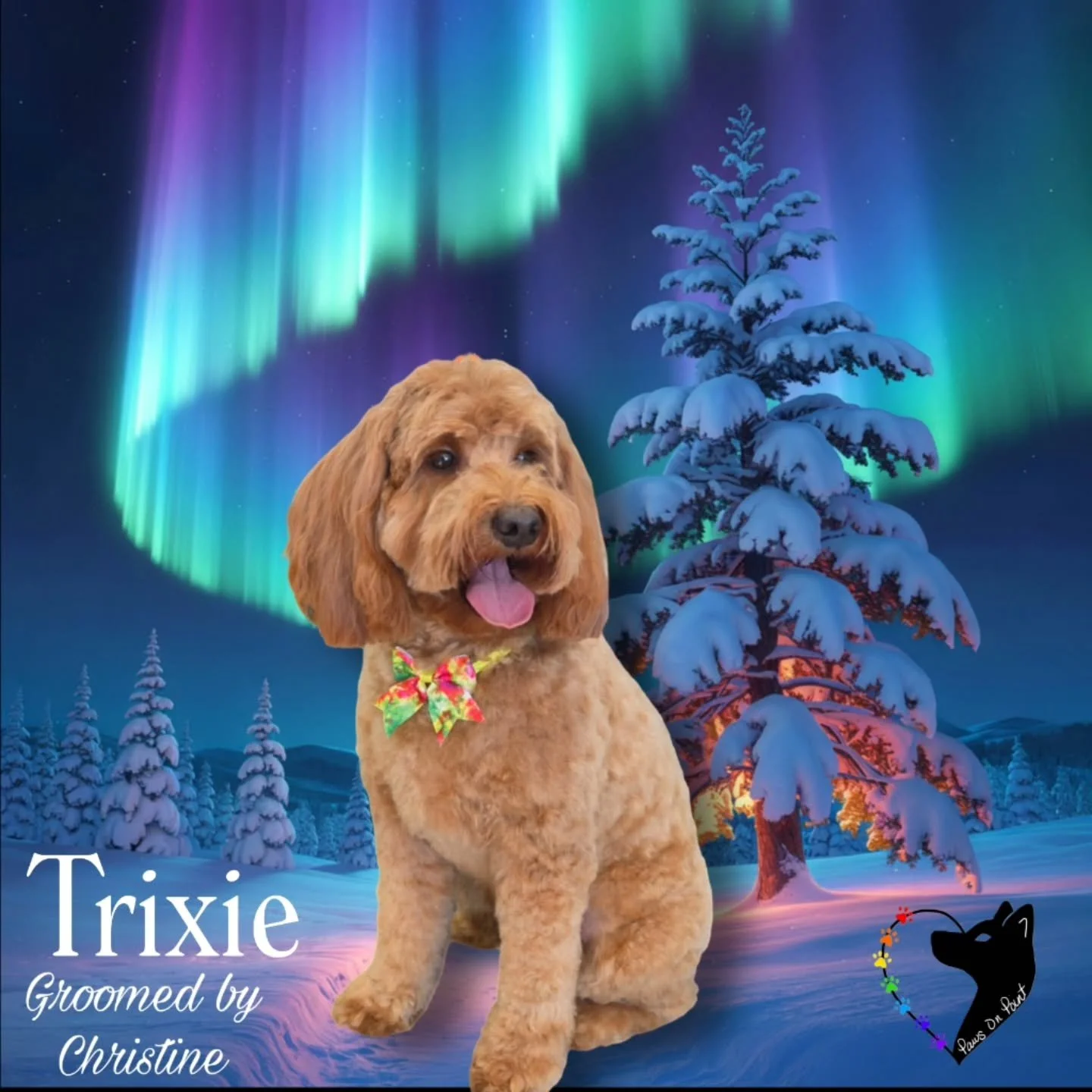 Fresh grooms. Happy dogs. Calm care done right.
Starting the year strong at Paws on Point. Book now! PawsonpointLV.com 702.329.8833