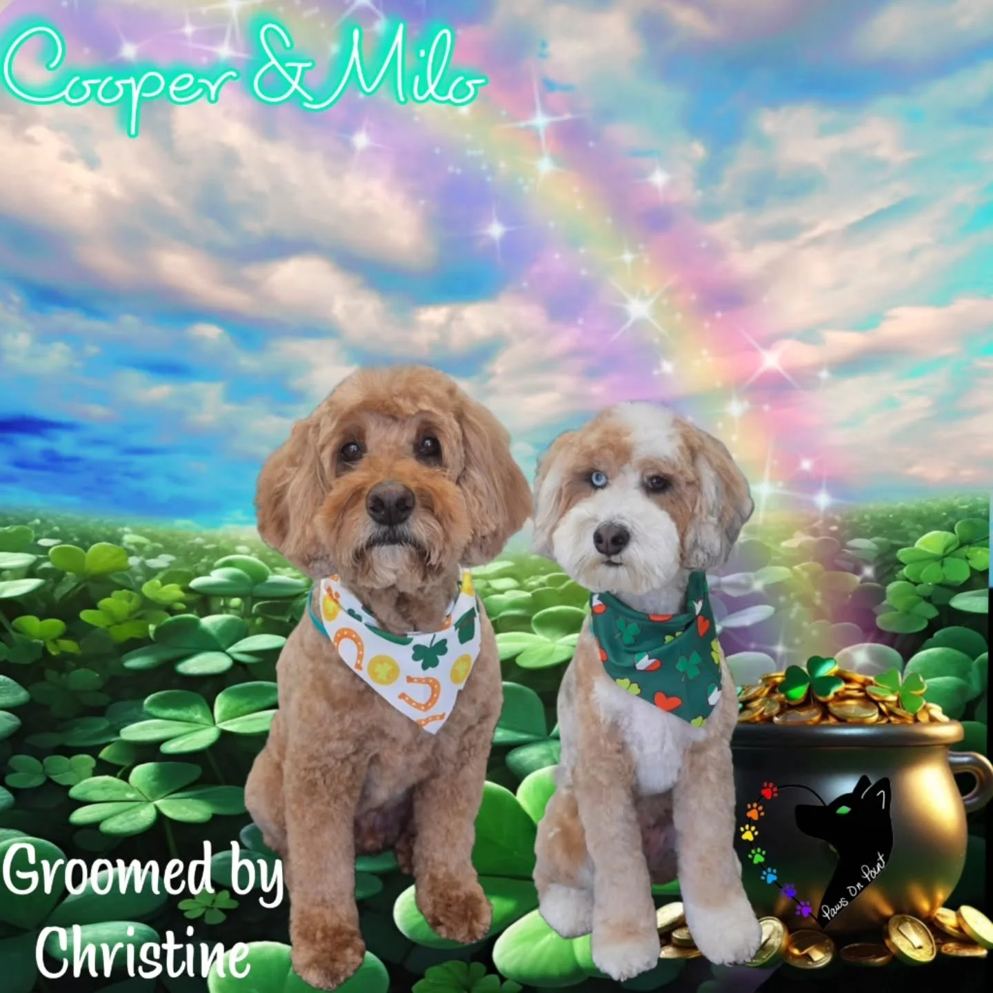 #SpringReady #PotOfGoldGroom #DeshedSeason #SpringGlowUp #VegasDogGroomer