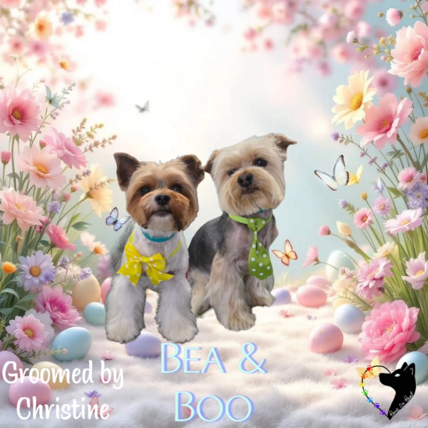 Sweet, soft, and feeling fresh 🌸

#FreshFluffSeason #HoppyPup #SpringGroomGlow #PawsitivelyFresh #EasterReadyPup