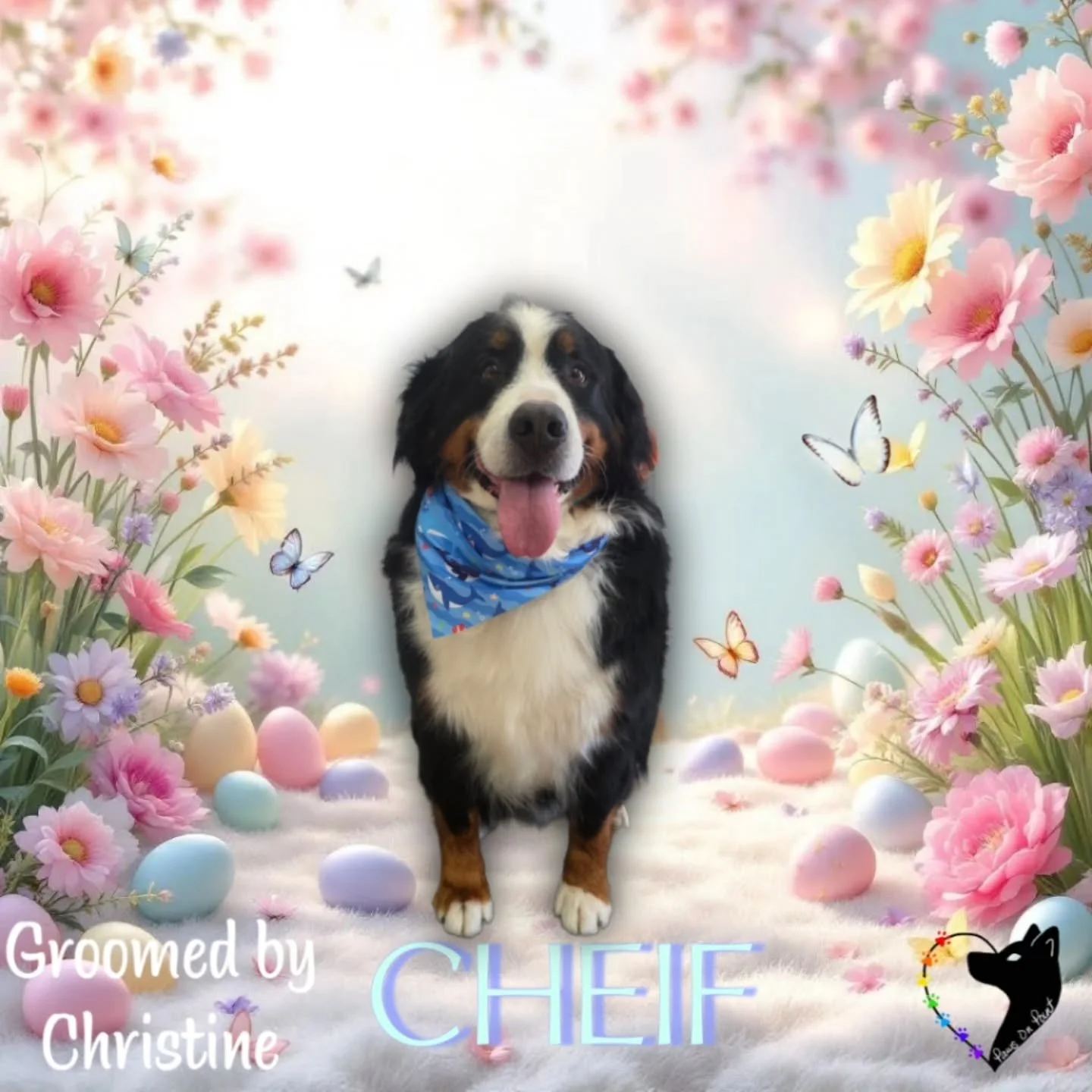 Time for your pup&rsquo;s next refresh ✂️✨

#FreshFluffSeason #HoppyPup #SpringGroomGlow #PawsitivelyFresh #EasterReadyPup
