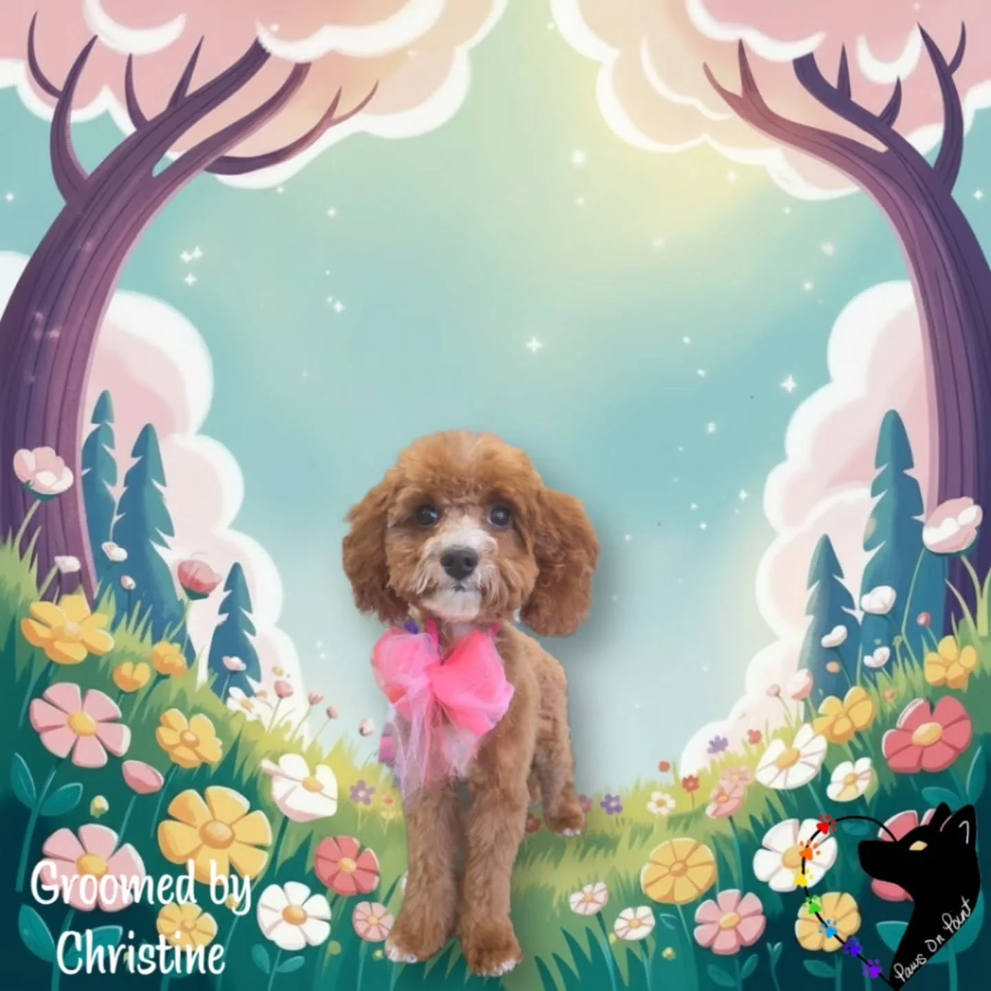 🫧

#FreshFluffSeason #puppysfirsthaircut #SpringGroomGlow #PawsitivelyFresh #lasvegasgroomer
